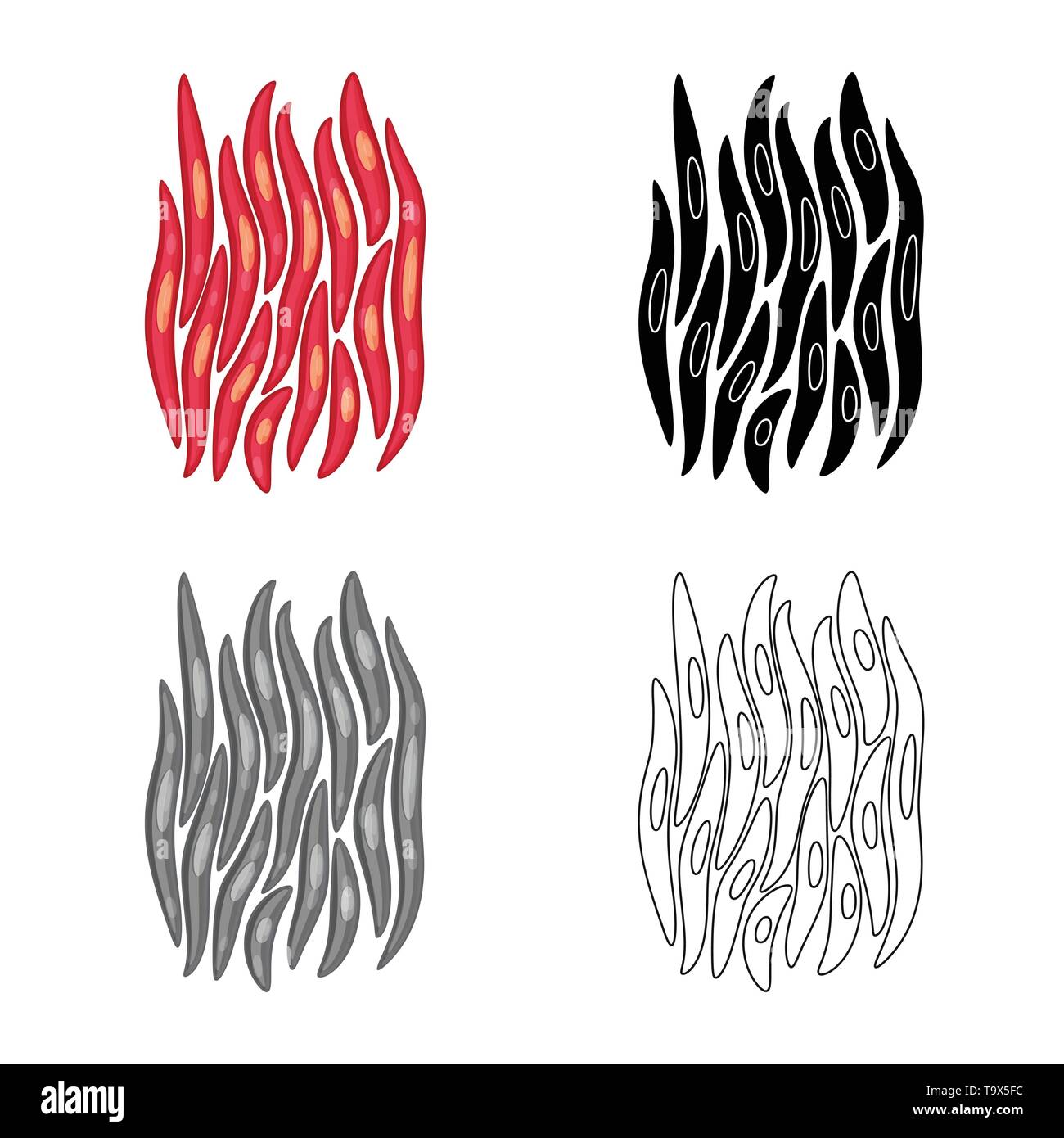 Isoliertes Objekt der Faser und muskulös Logo. Sammlung von Faser- und Körper vektor Symbol für das Lager. Stock Vektor