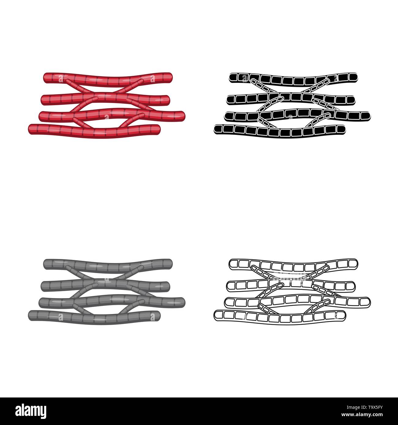 Vector Illustration der Faser und muskulös Symbol. Sammlung von Faser- und Körper vektor Illustration. Stock Vektor