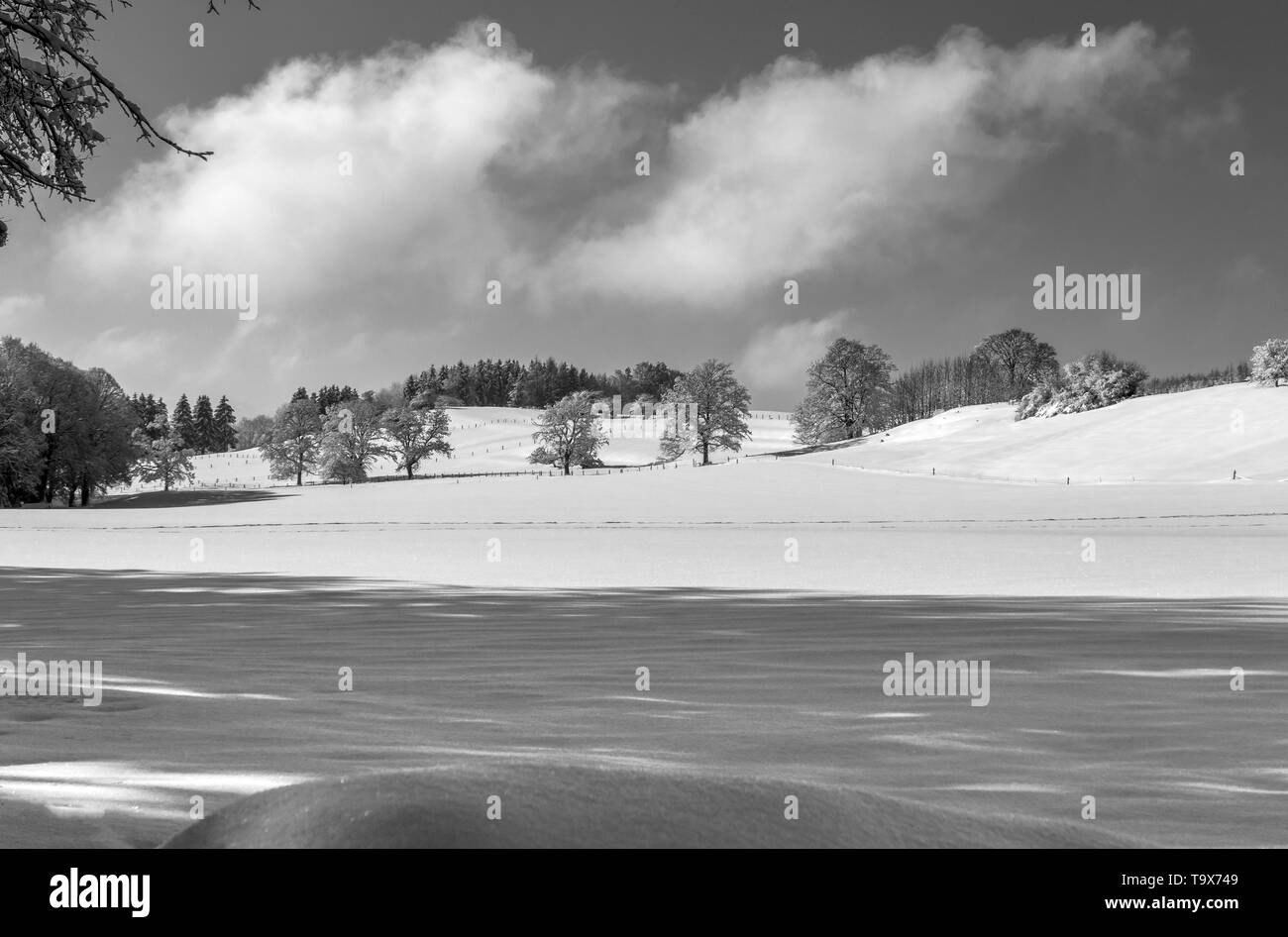 Schöne Winterlandschaft nach frischem Schneefall auf der Ilkahöhe, Tutzing, Bayern, Deutschland, Europa, schöne Winterlandschaft nach diesem Artikel Neuschnee auf der Ilkahöhe, Stockfoto
