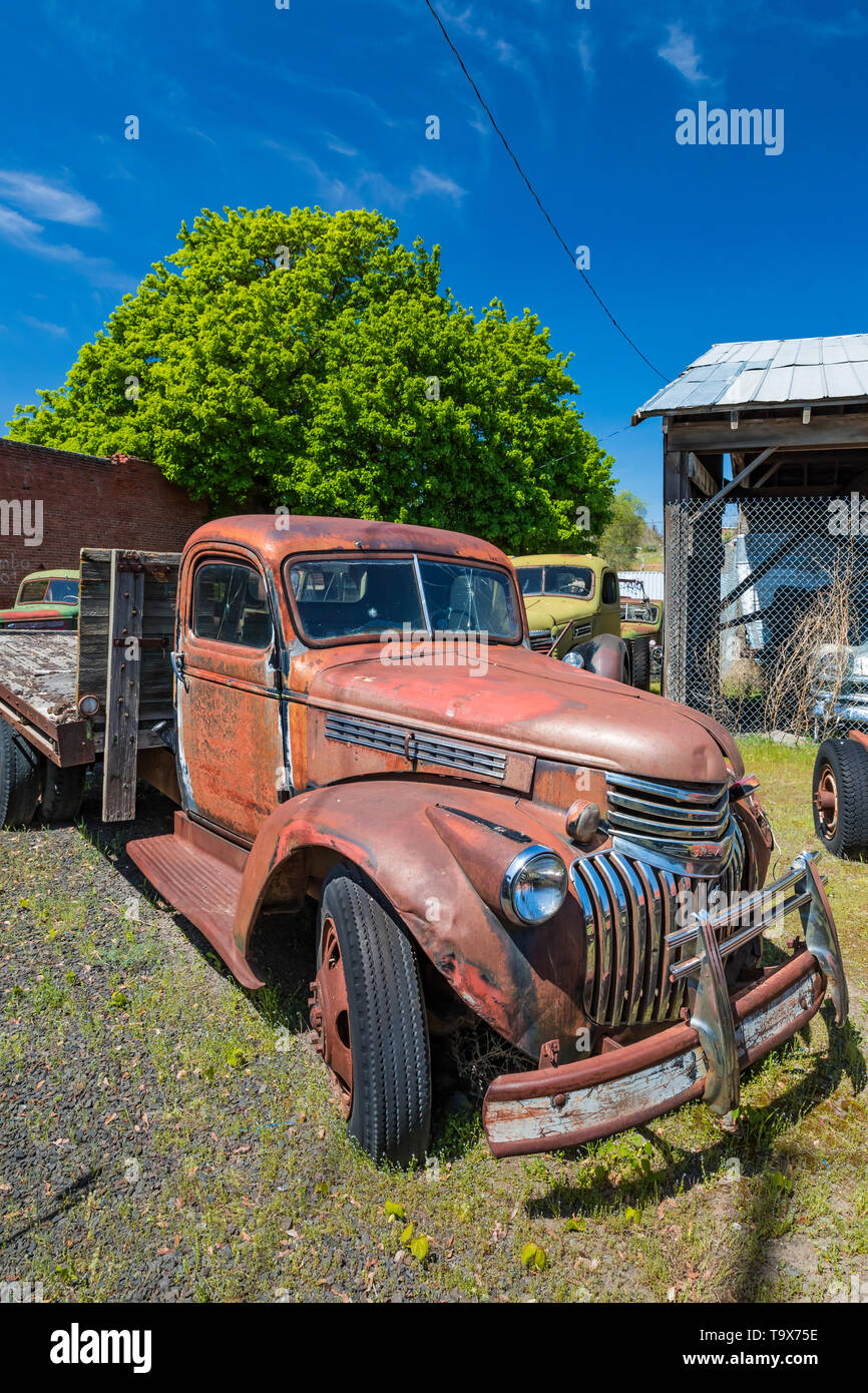 Pickups umfassen Dave's Alte LKW-Rettung Sammlung in Sprague, Washington State, USA [kein Eigentum Freigabe: Nur für redaktionelle Lizenzierung verfügbar] Stockfoto