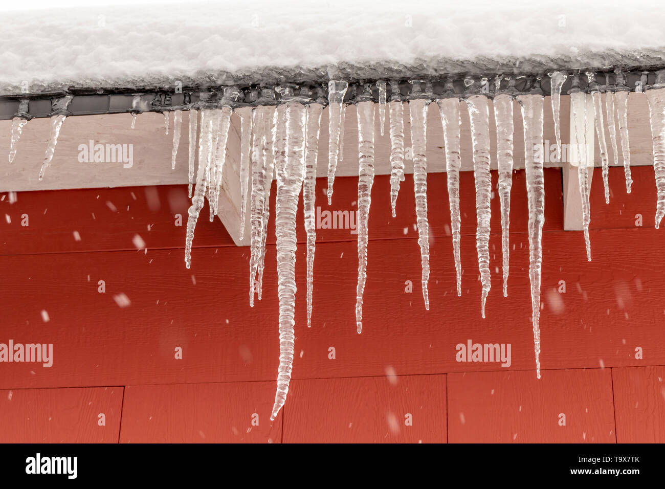 Eiszapfen vom Dach hängend auf rotem Hintergrund. Stockfoto