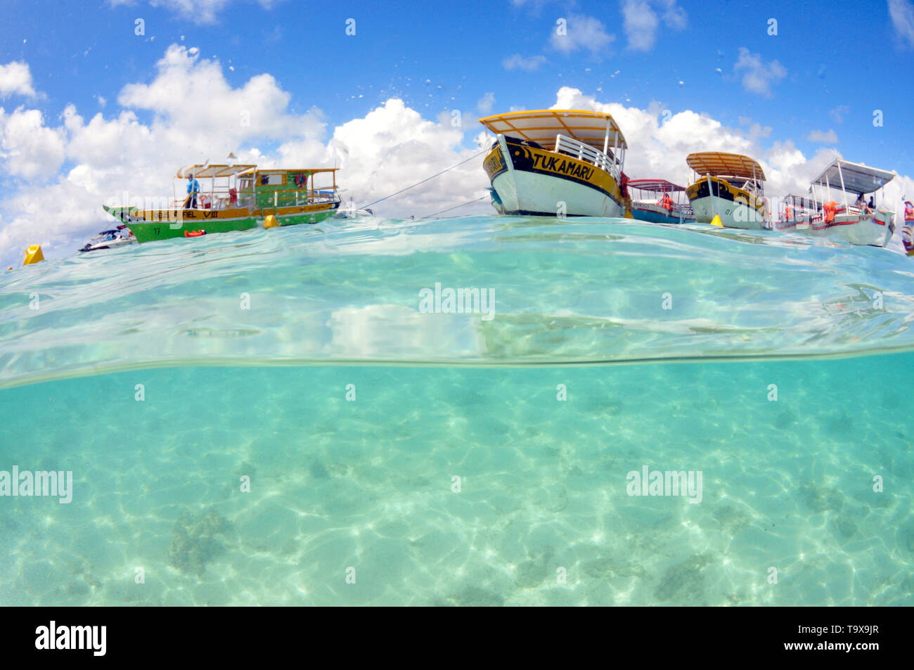 Tour Boote in den natürlichen Pools oder "gales", Maragogi, Alagoas, Brasilien Stockfoto