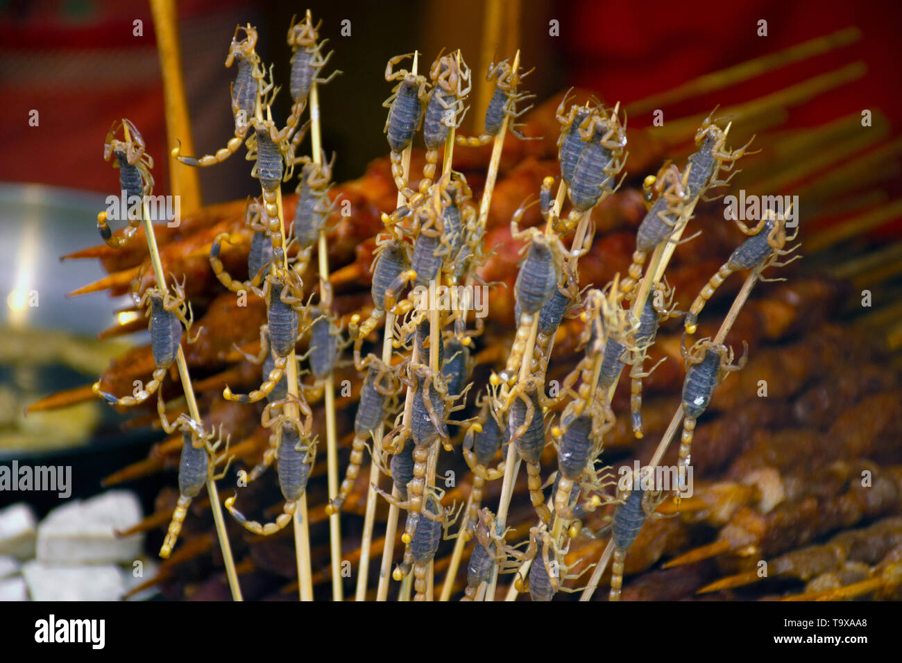 Schwarz Scorpions in einem Stick, exotische Snack an der Snackbar Wangfujing Street, Beijing, China verkauft Stockfoto