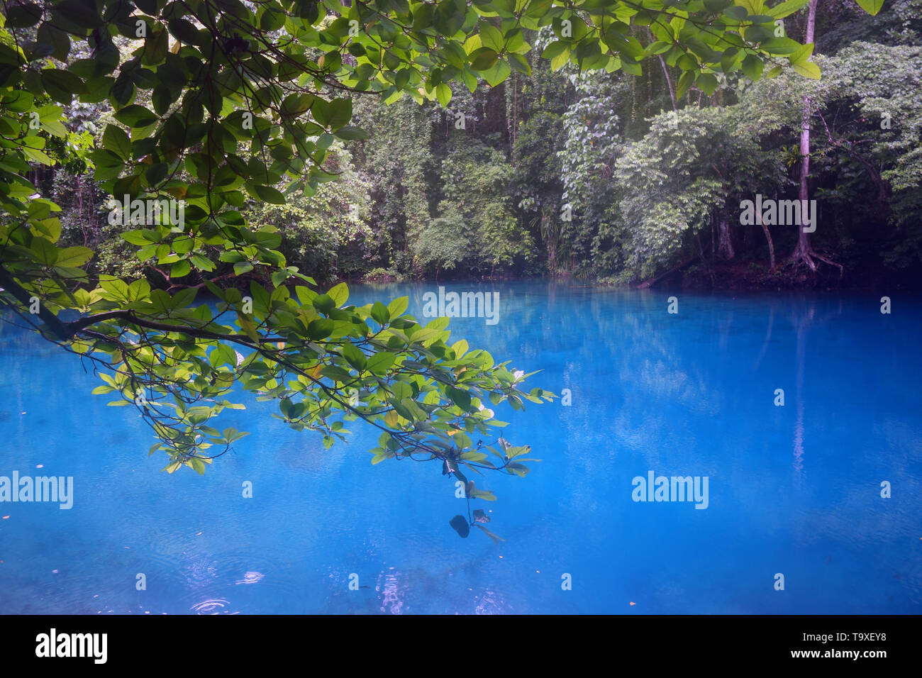 RiRi Blue Hole, Espiritu Santo, Vanuatu. Keine PR Stockfoto