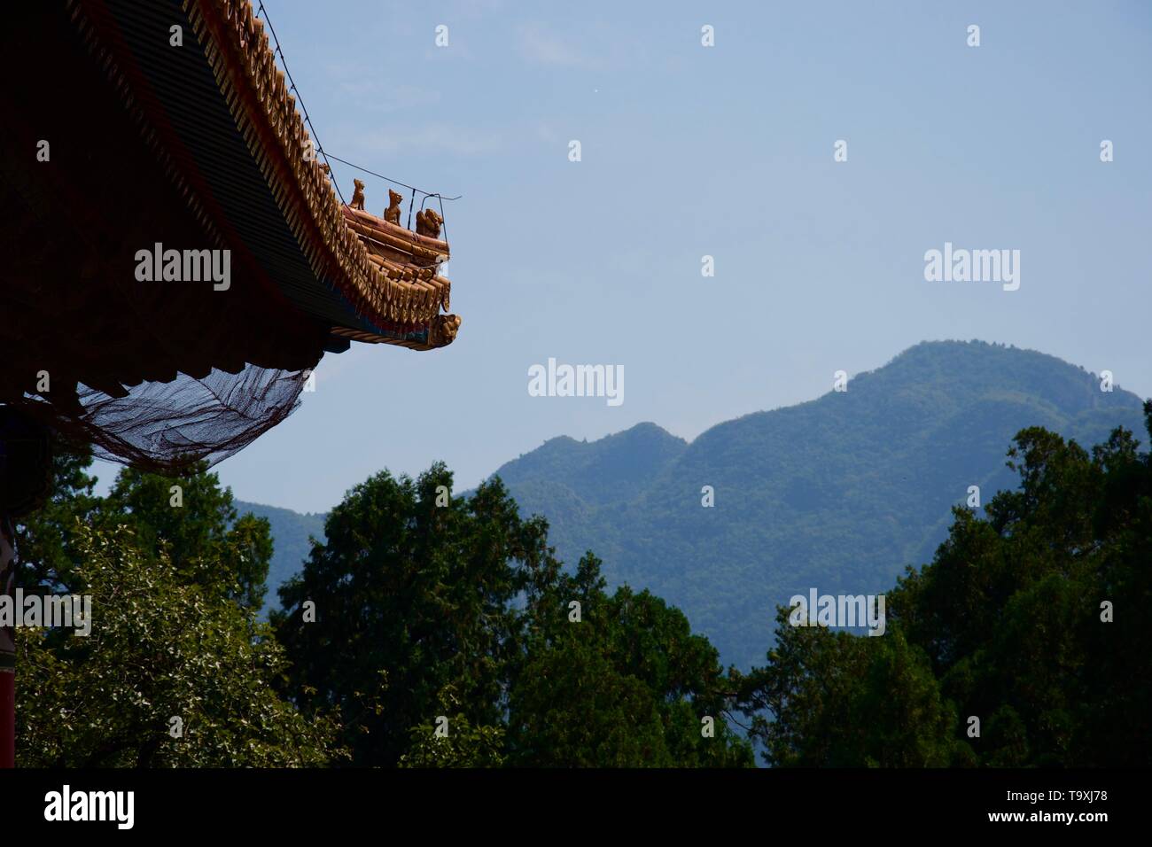 Traditionelle orange kunstvollen chinesischen Fachwerkbalken Blick auf BEWALDETE asiatischen Berge. Grüne Bäume im Vordergrund, Hitzeflimmern und blauer Himmel. Figuren geschnitzt auf oder Stockfoto