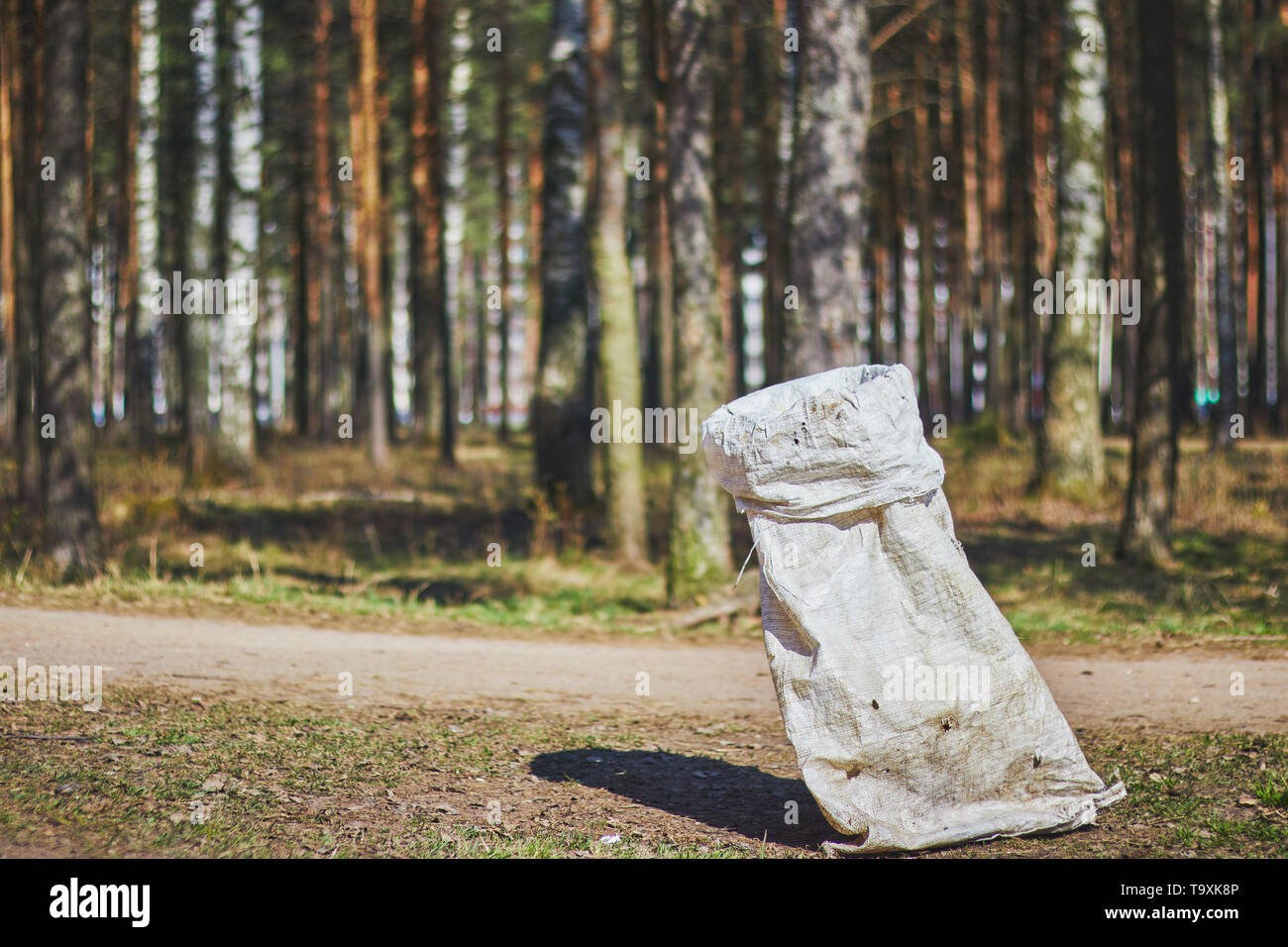 Tag der Erde Sämlinge. Paket mit Müll im Wald. Natur. Stockfoto