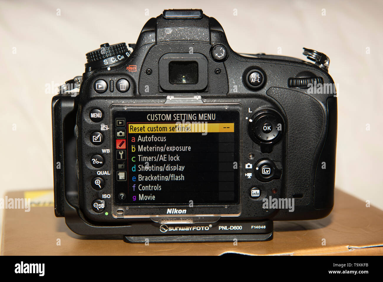 Nikon D600 DSLR hinteren LCD-Bildschirm Stockfoto