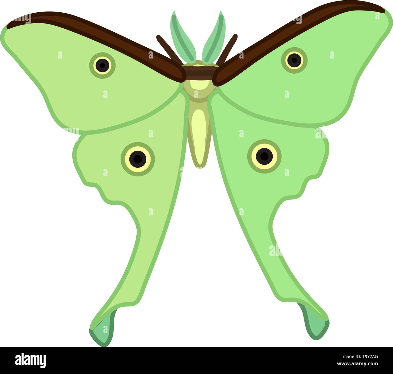 Vektor cute cartoon Insekt clip art butterfly Luna Moth Stock Vektor