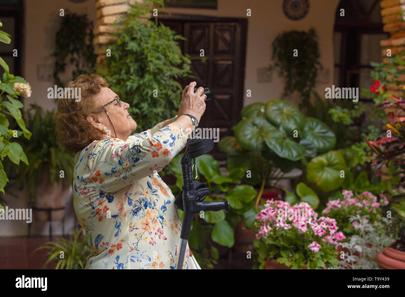 Cordoba, Spanien - 16. Mai 2019: Alte Frau mit Fragen der Mobilität, ein Foto in einem cordovan Terrasse. Stockfoto