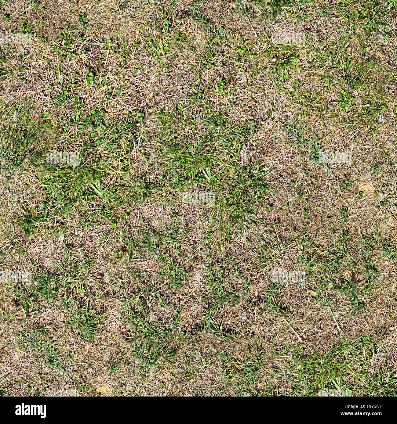 Grass Seamless Texture Stockfotos Und Bilder Kaufen Alamy