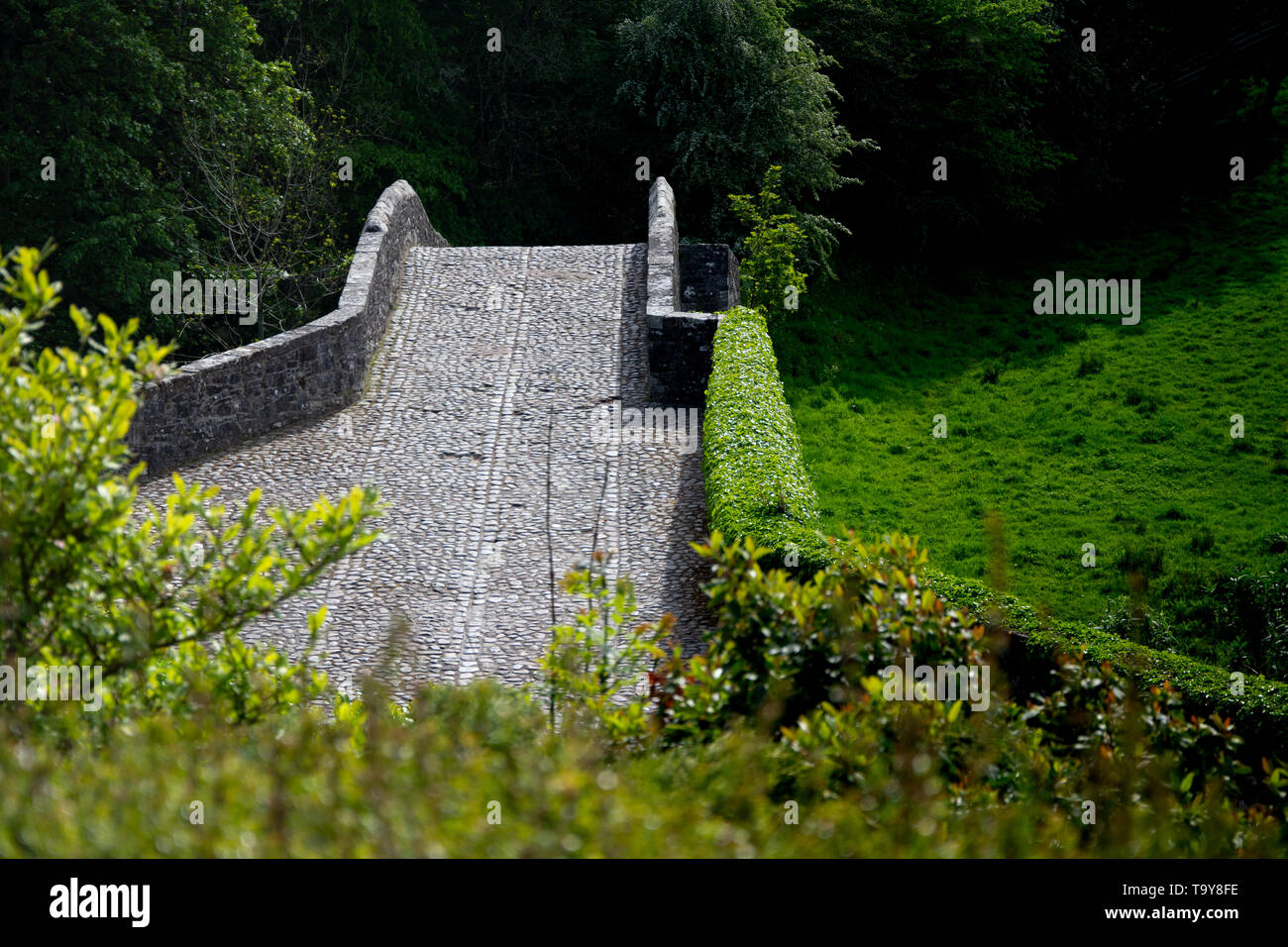Ein Spaziergang um in Alloway Ayrshire der Geburtsort von Robert (rabbie) brennt. Stockfoto