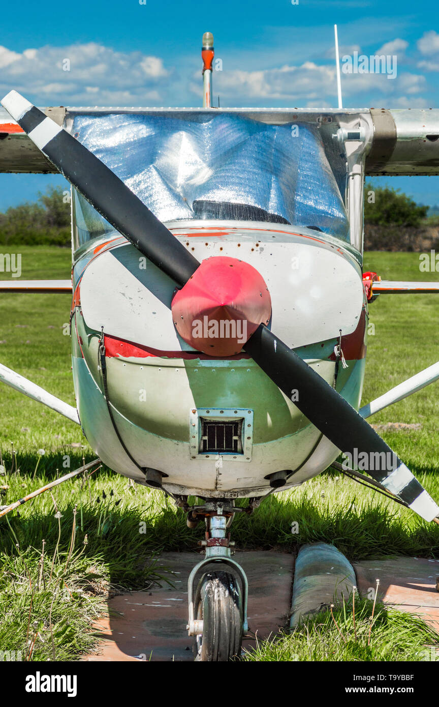 Alten roten und weißen Single Motor propeller Flugzeug, Vorderansicht, auf Gras Feld an einem sonnigen Tag geparkt. Stockfoto