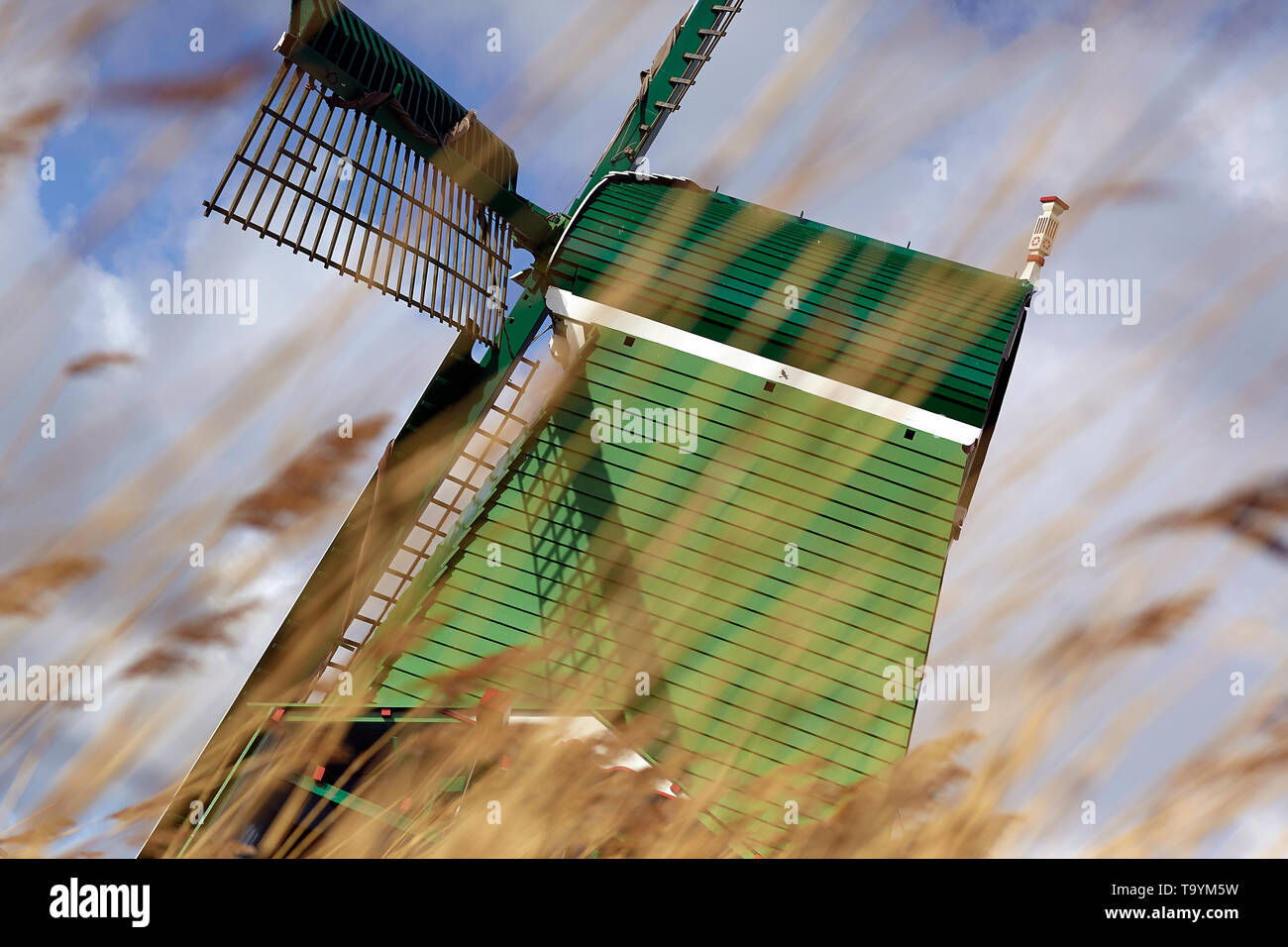 Atemberaubende Bild eines traditionellen holländischen Windmühle in einer schönen Landschaft Stockfoto