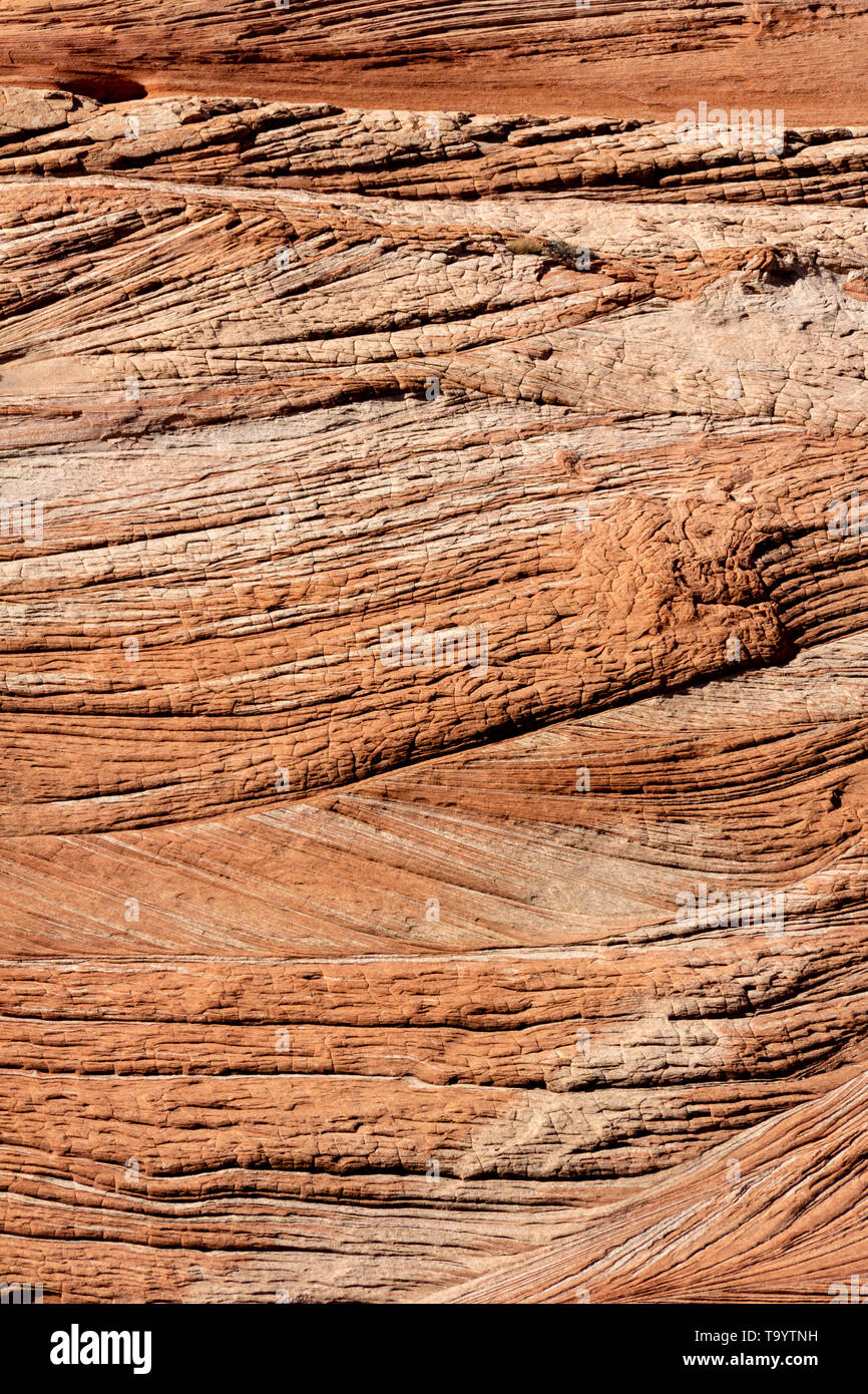 Einzigartige Texturen in Klippen schnitzen über Millionen von Jahren Wasser und Wind Stockfoto