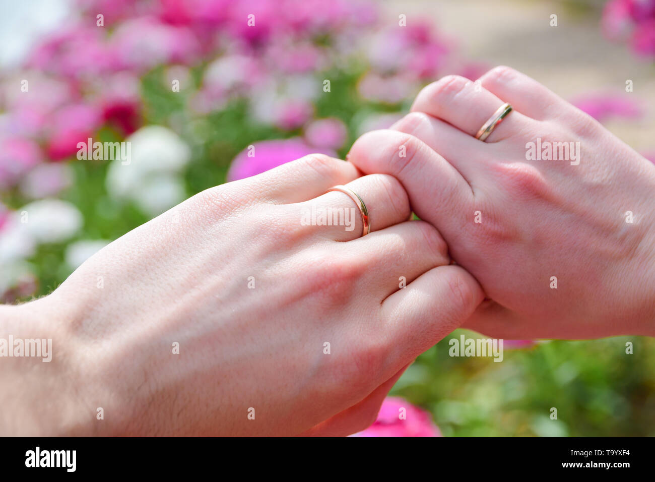Hände von Ehepaar mit Hochzeit Ringe gegen Rosa Blumen Hintergrund. Stockfoto