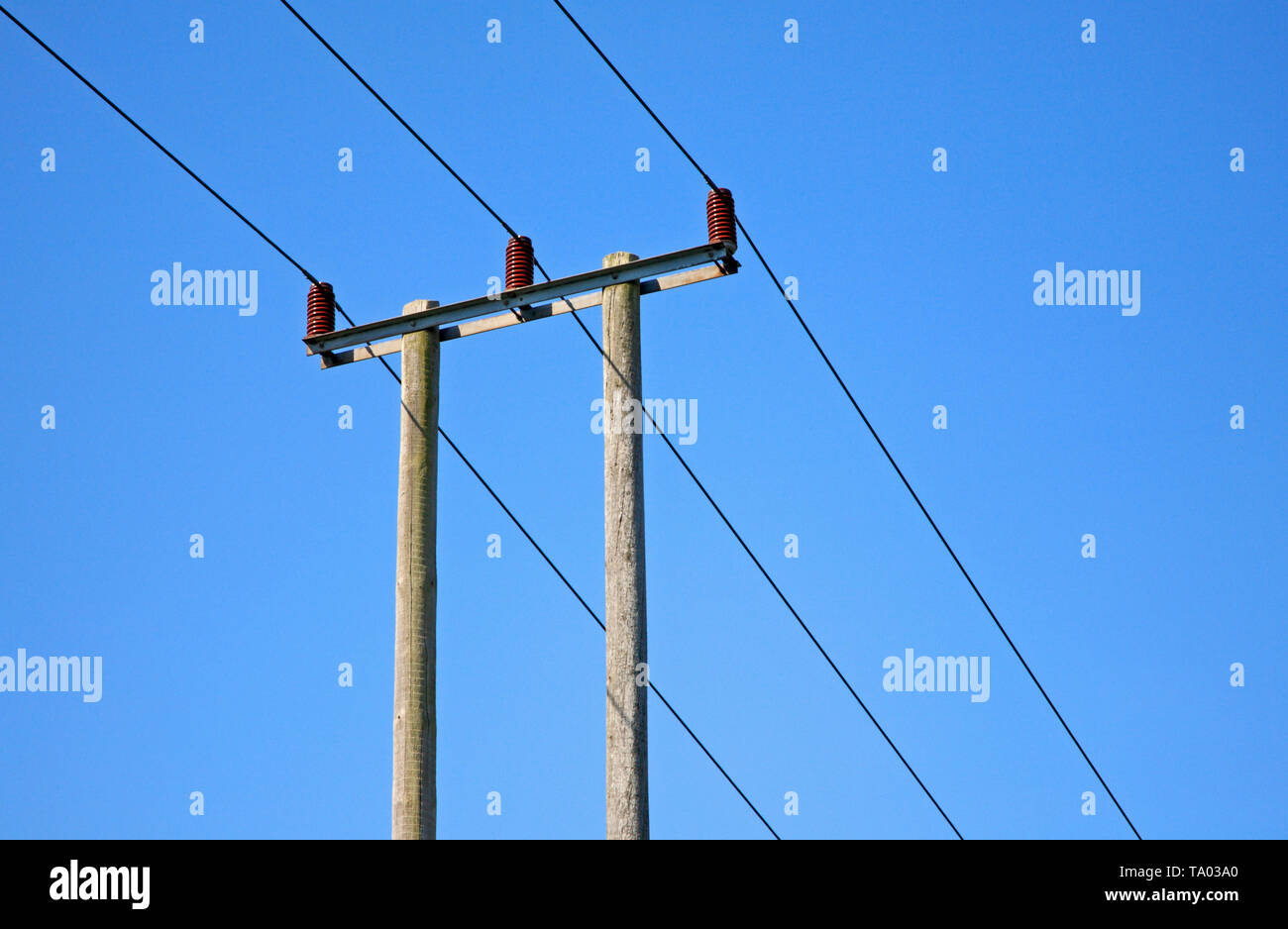 Ein Blick auf overhead Stromleitungen in der englischen Landschaft bei Felmingham, Norfolk, England, Vereinigtes Königreich, Europa. Stockfoto