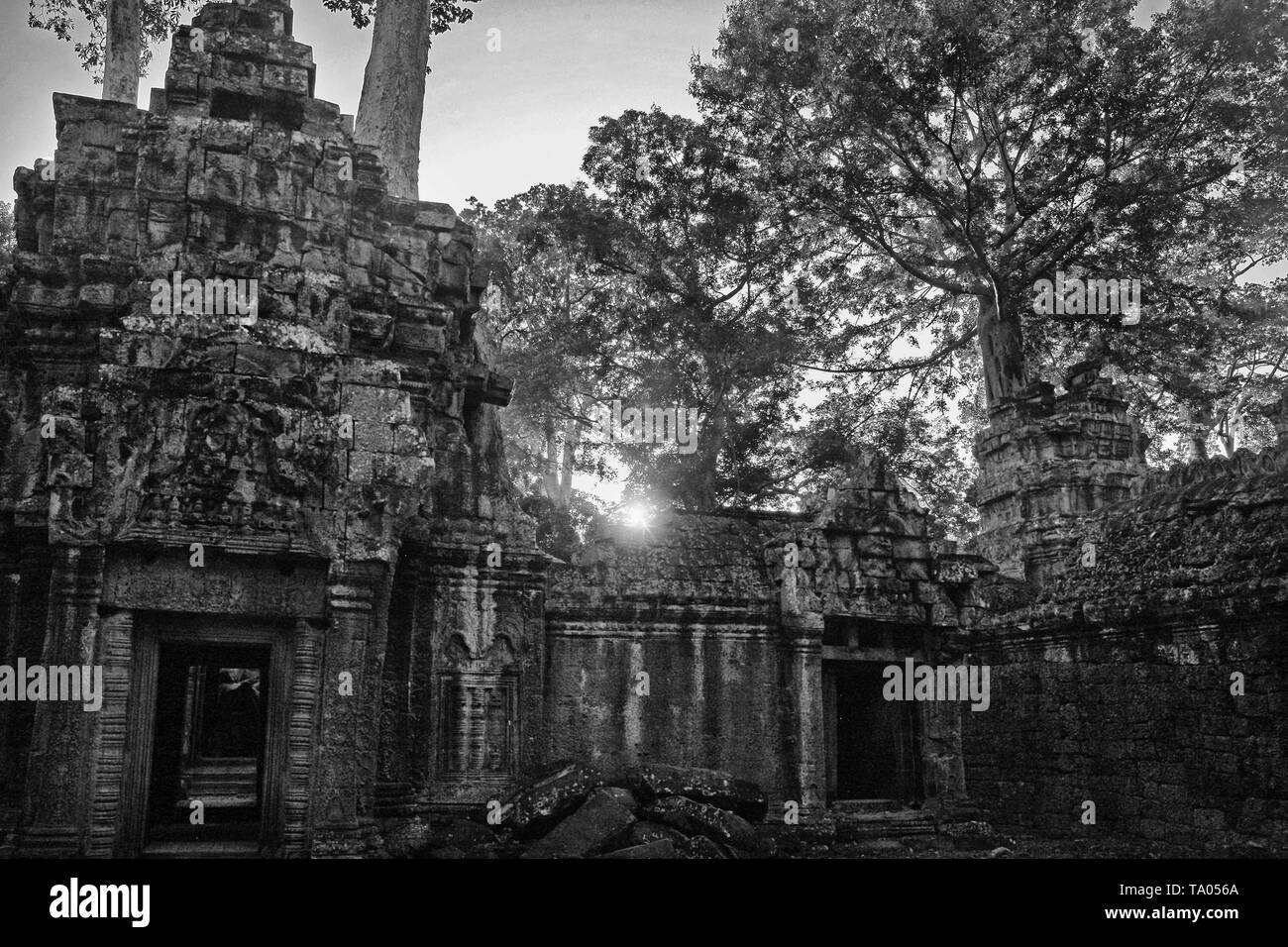 Sonnenaufgang über dem zweiten Gehäuse, Ta Prohm, Angkor, Siem Reap, Kambodscha. Schwarz und Weiss Stockfoto