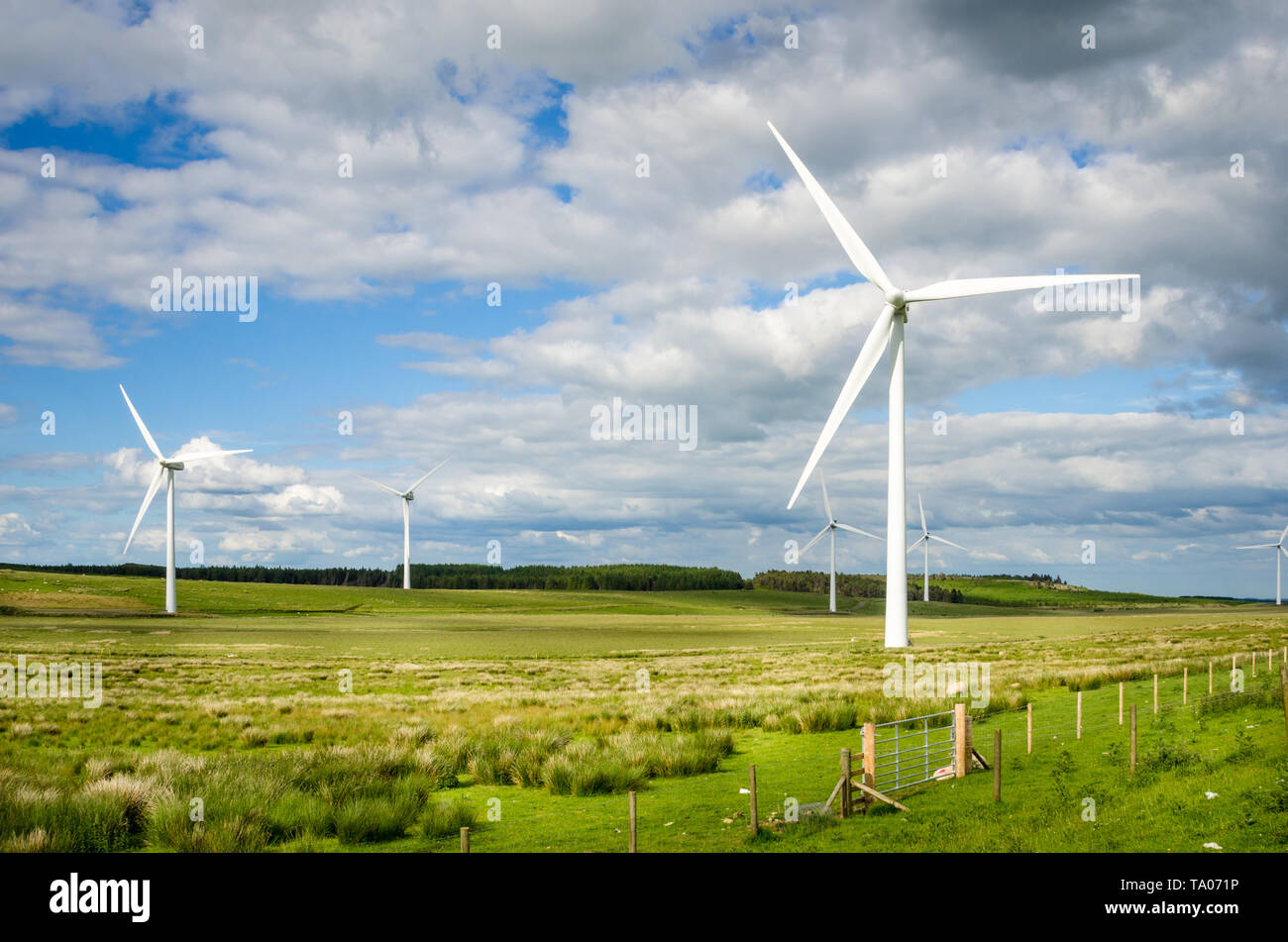 Windenergieanlagen in einem eingezäunten Wiese mit Wäldern im Hintergrund an einem sonnigen Frühlingstag. England, UK. Stockfoto