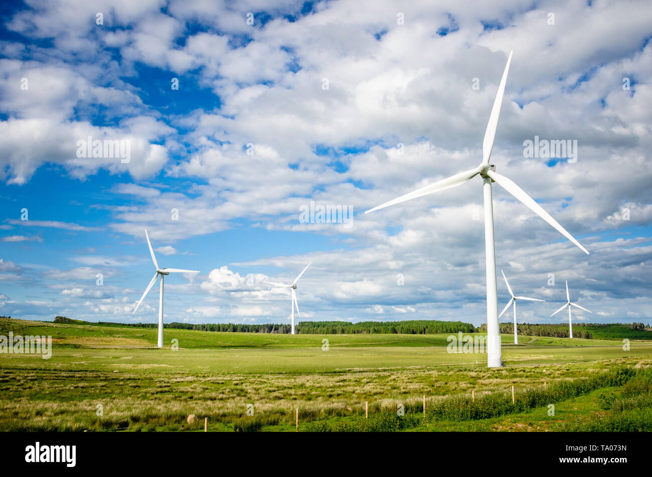 Windenergieanlagen in einer Wiese unter blauem Himmel mit Wolken in der Landschaft von Northumberland, England, im Frühjahr Stockfoto