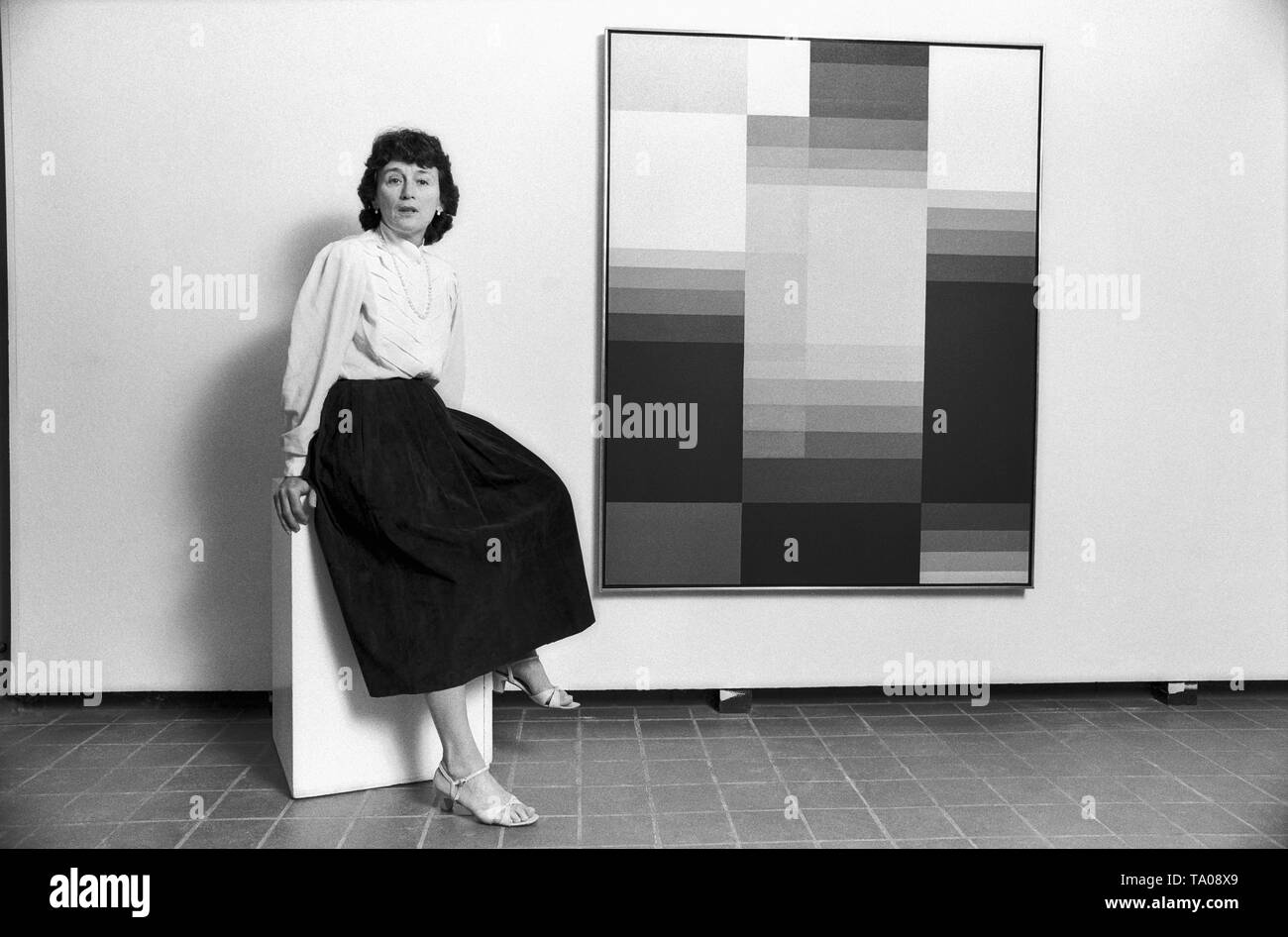 Porträt einer amerikanischen KUNST GALERISTEN, Rochester, USA Stockfoto