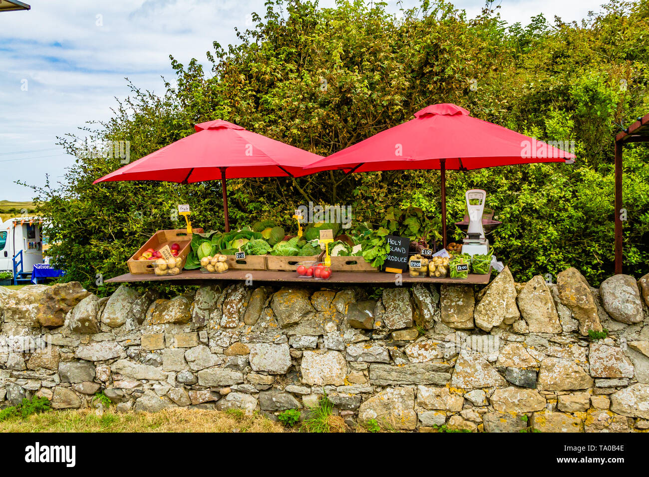 Obst und Gemüse frische Produkte stehen oder stehen, Verkauf von frischen Produkten für Besucher der heiligen Insel von Lindisfarne, Northumberland, Großbritannien. Stockfoto