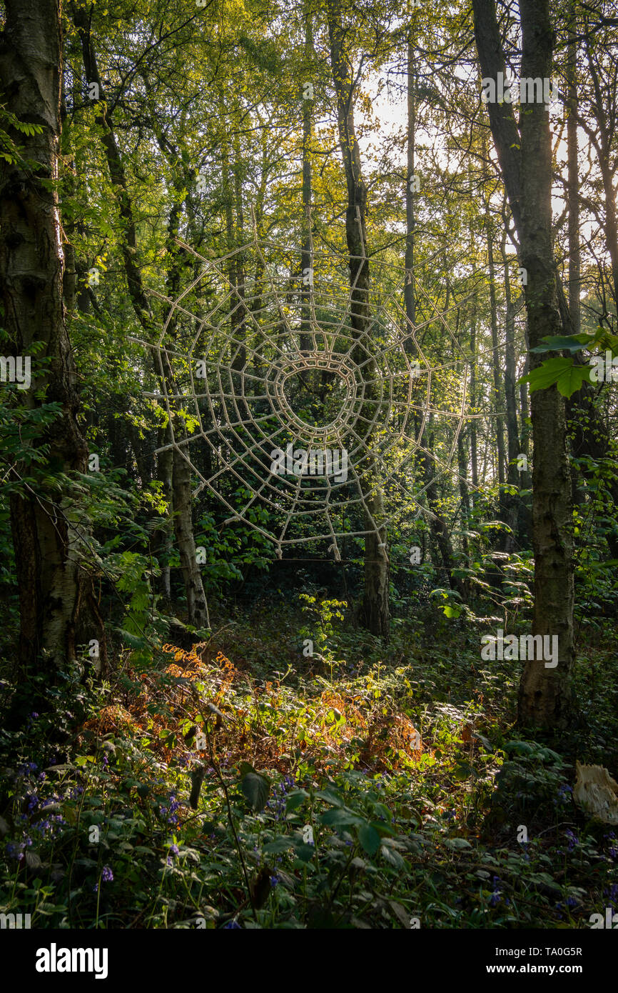 Artwork spinnen Web im Wald. Stockfoto