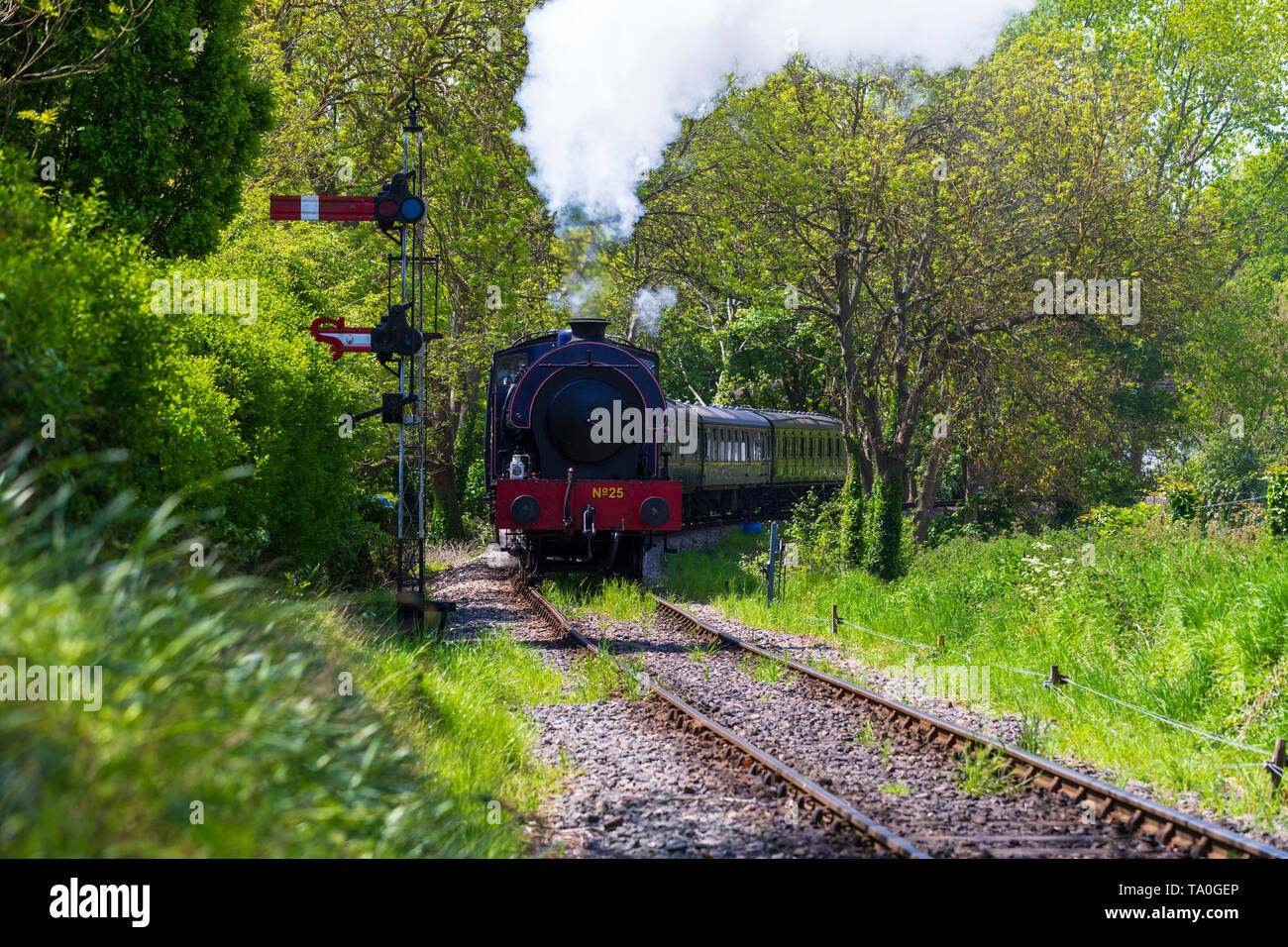 Kent und East Sussex Eisenbahn Dampflok, KESR, Tenterden, Kent, Großbritannien Stockfoto