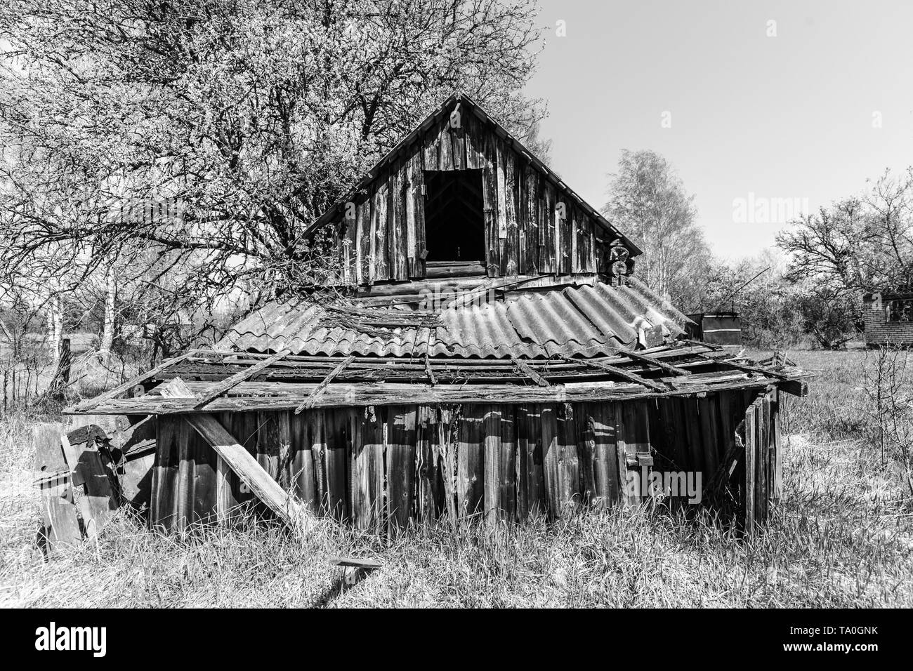 Verlassen kleines Haus in Weißrussland Tschernobyl Sperrzone, die vor kurzem für die Öffentlichkeit ab April 2019 geöffnet. Stockfoto