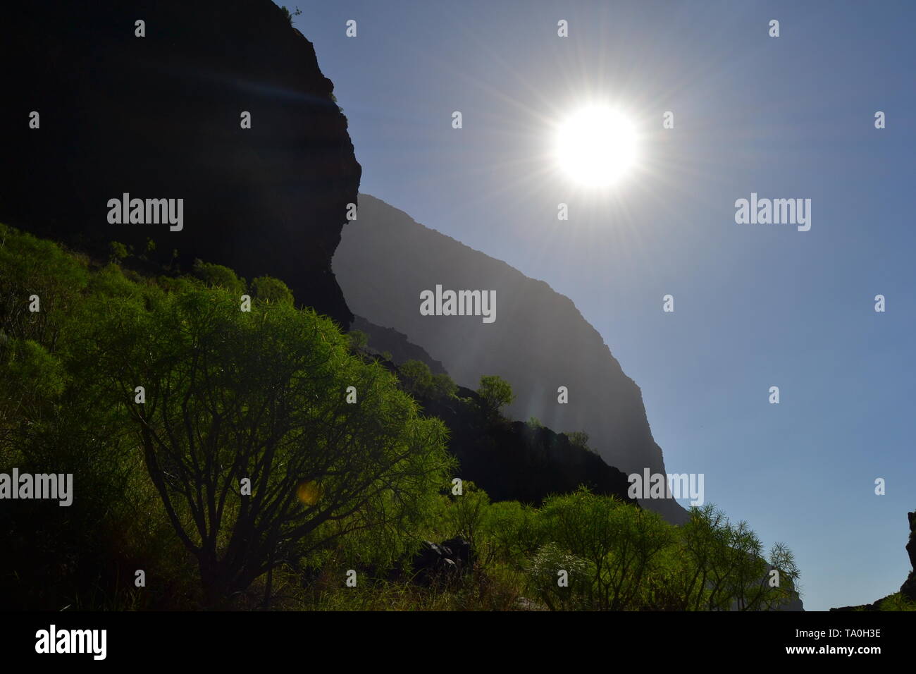 Masca Tal Blick in den Himmel, Teneriffa, Spanien Stockfoto