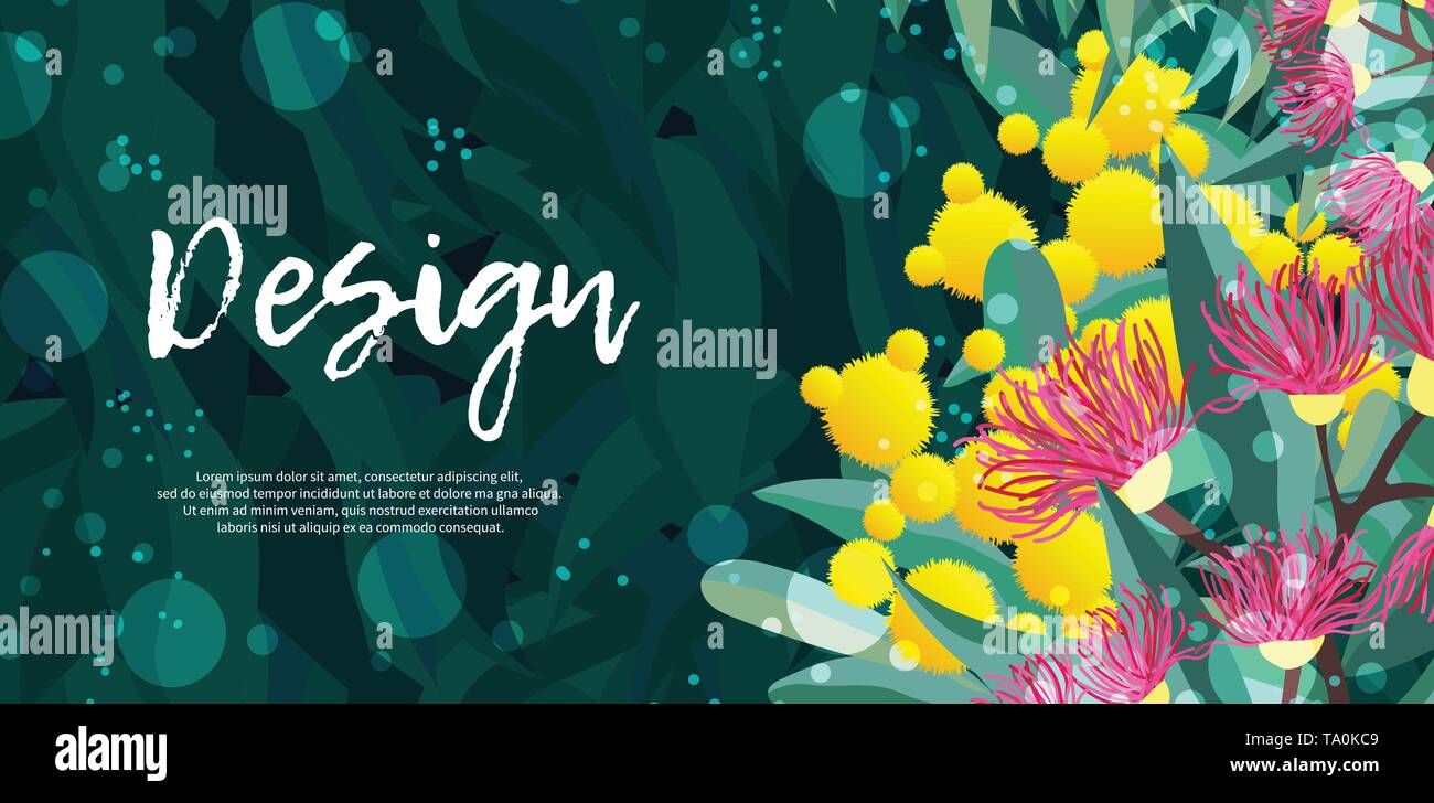 Tropischen Australien design vector Blätter und Blumen Stock Vektor