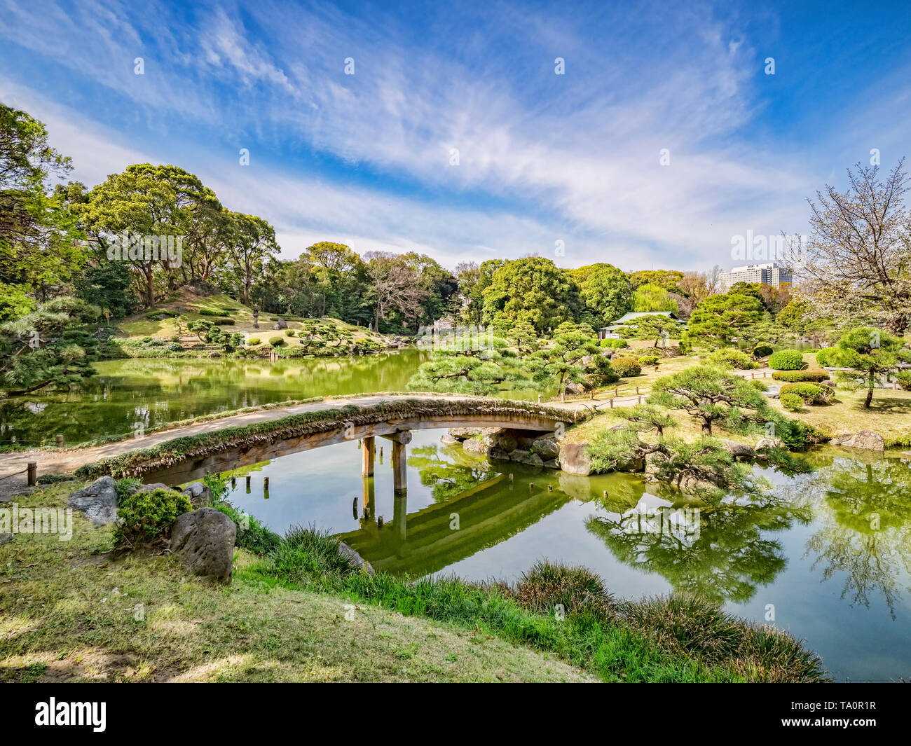 5. April 2019: Tokyo, Japan - Teich und Brücke in Kiyosumi Garten, einem traditionellen Stil angelegten Garten in Tokio. Stockfoto
