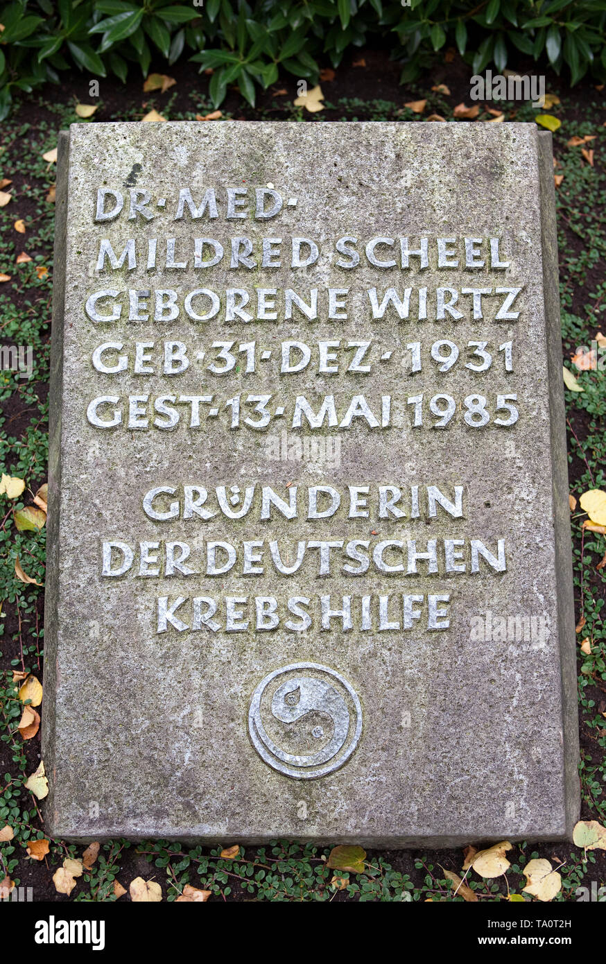 Das Grab von Mildred Scheel, Alter Friedhof Friedhof, Bonn, Nordrhein-Westfalen, Deutschland, Europa Stockfoto