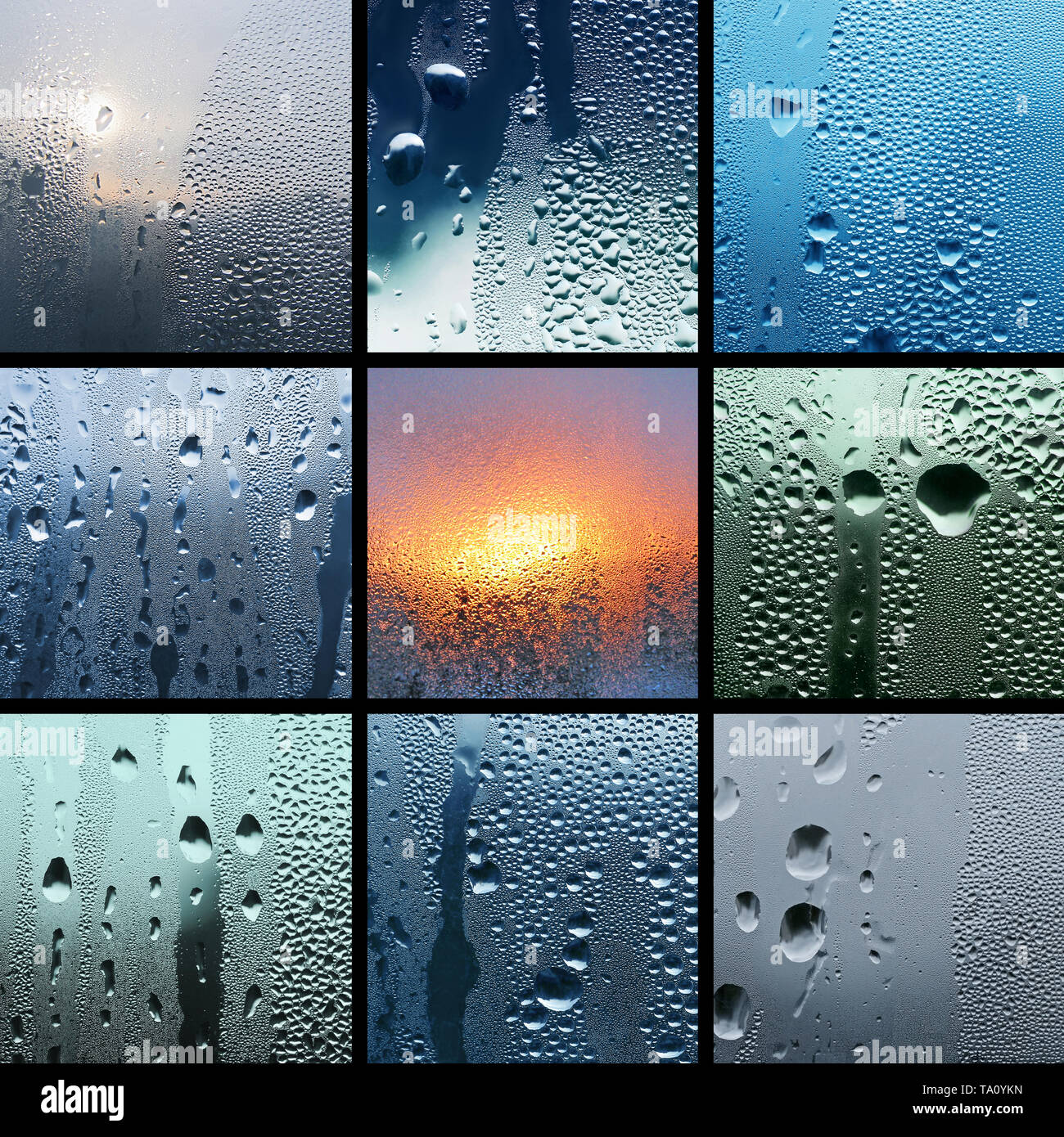 Collage aus Fotos von Wassertropfen auf Glas Stockfoto