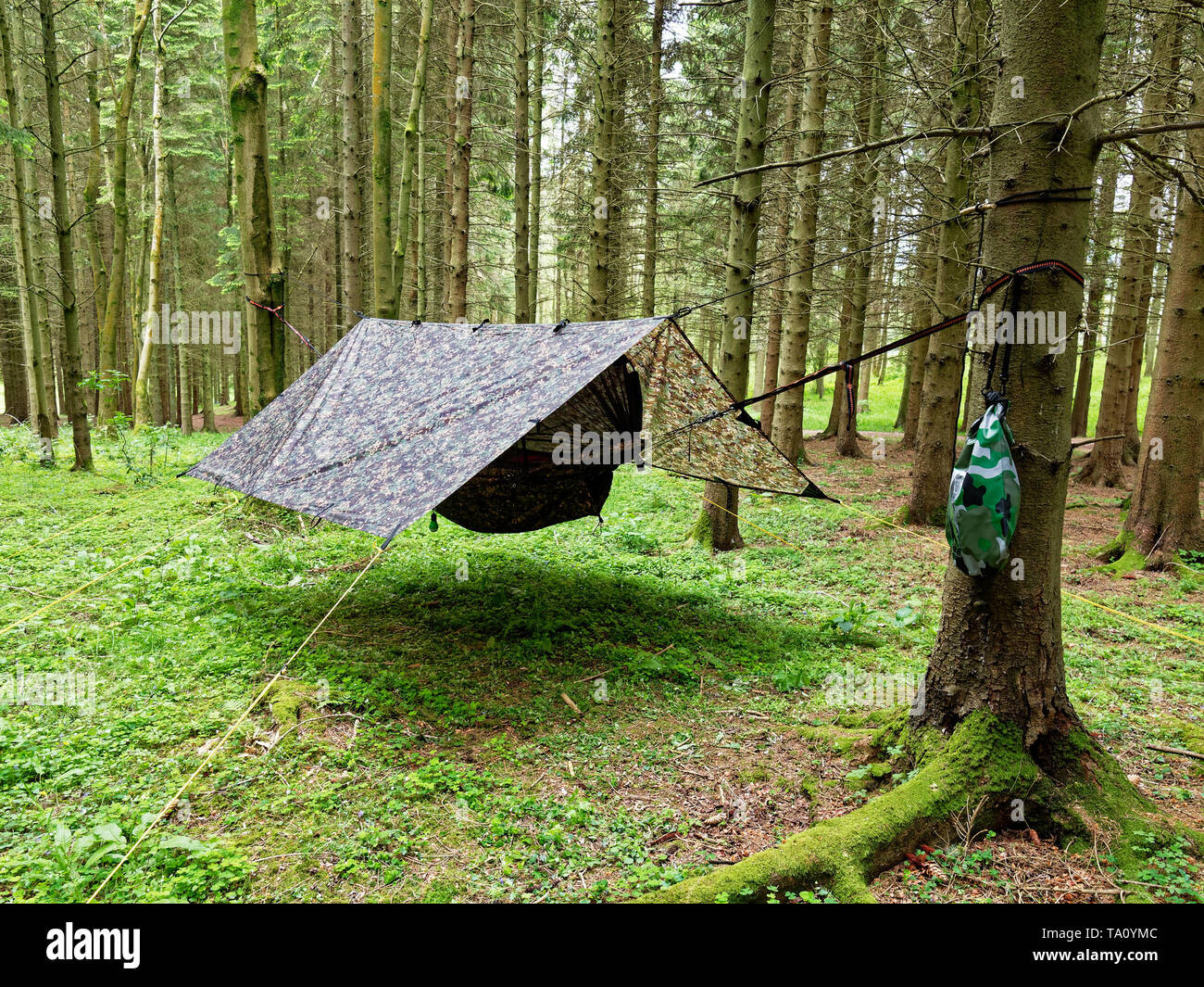 Camping Hängematte, Powys. Großbritannien Stockfoto