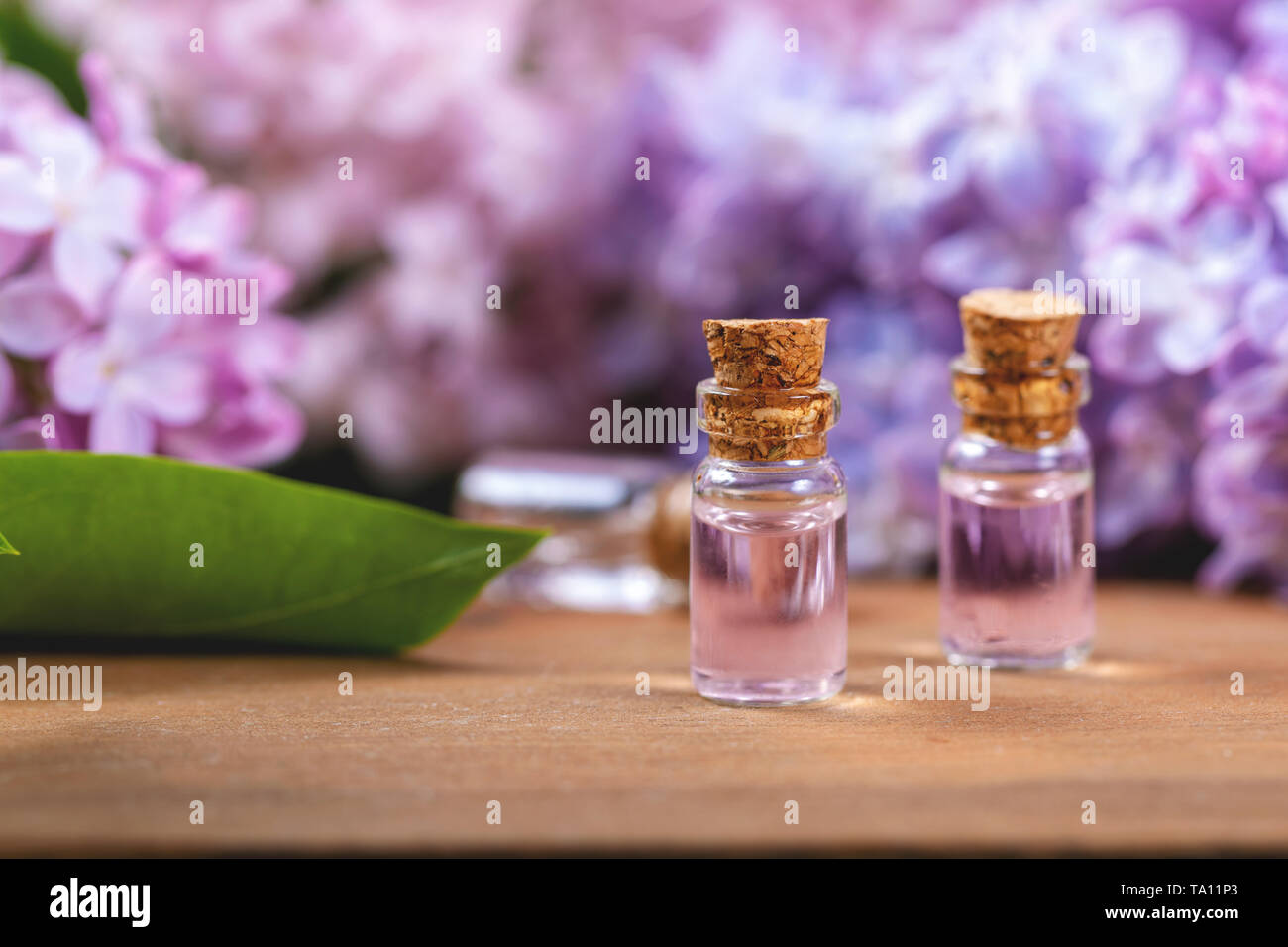 Wellness Aromatherapie - ätherische Öl Flaschen und lila Blumen Stockfoto