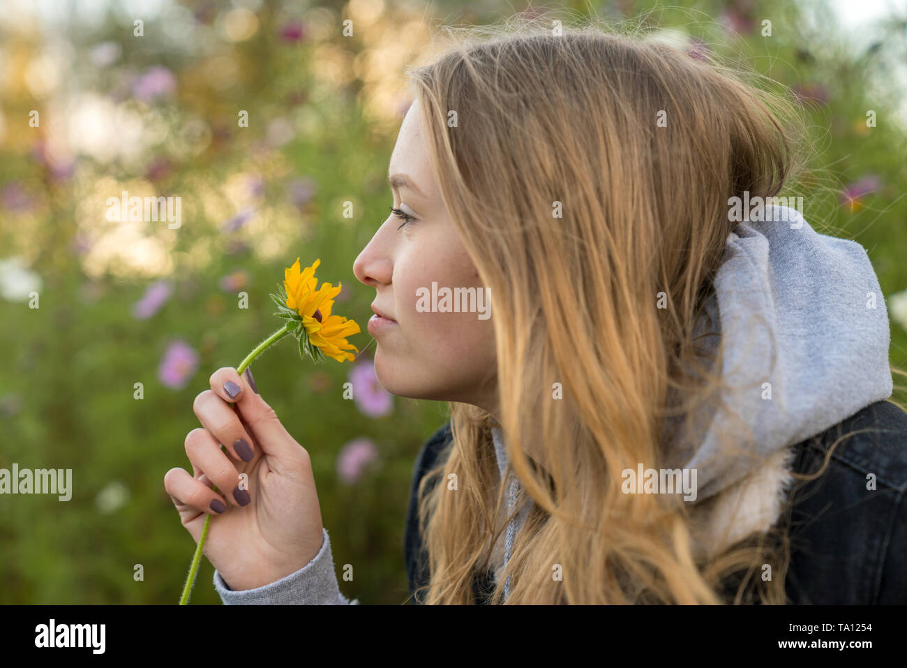 Das Porträt einer jungen Frau riechen eine Blume Stockfoto