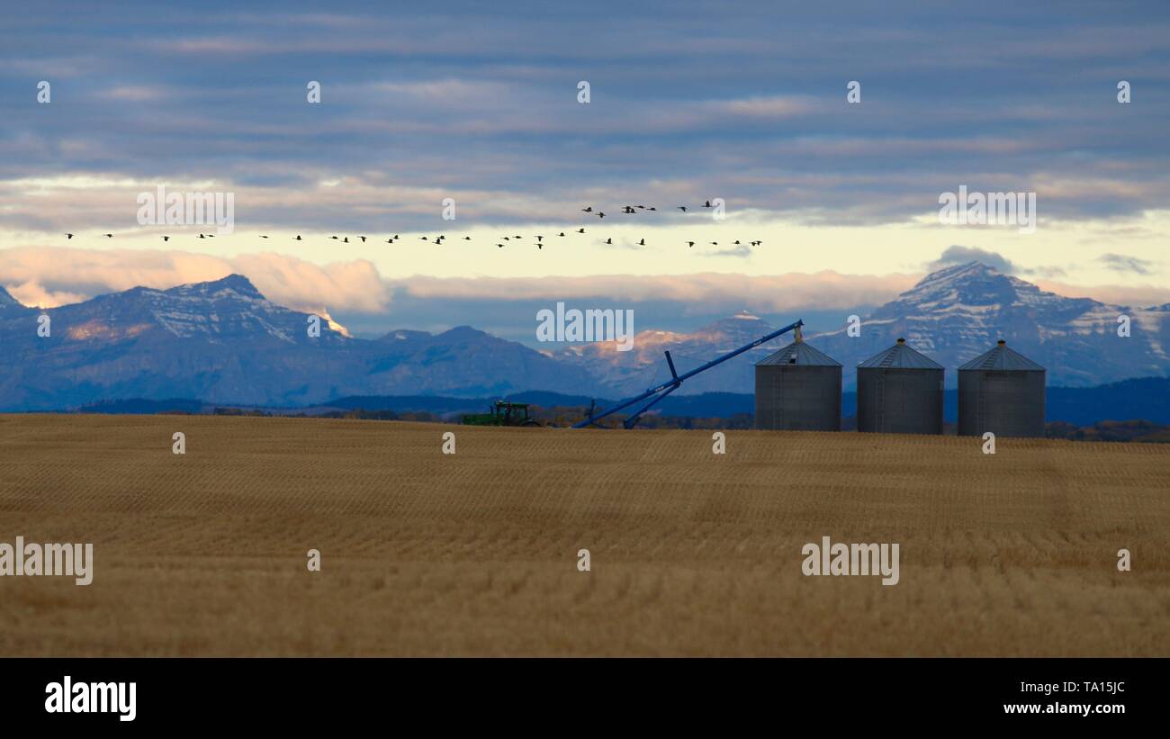 Öl- und Gasindustrie, Alberta Stockfoto