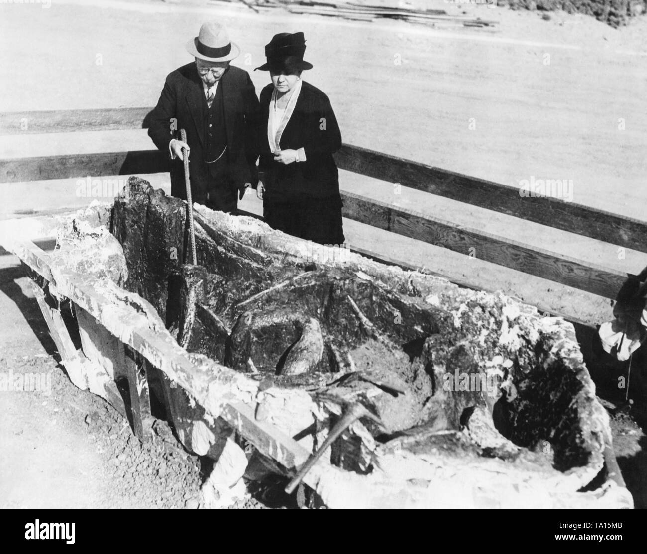 Die doheny Paar fand ein Skelett eines Mastodon auf dem Hof. Das Skelett war im Museum in Los Angeles ausgestellt. Stockfoto