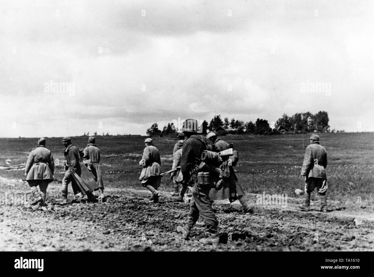Ein deutscher Schock Truppe führt sowjetischen Kriegsgefangenen zu ihren Gefechtsstand. Es ist eines der wenigen Vorstöße von deutschen Truppen während der defensive Kämpfe. Durch die Operation Bagration der Roten Armee, kommt es zum Zusammenbruch der Heeresgruppe Mitte im Sommer 1944. Stockfoto