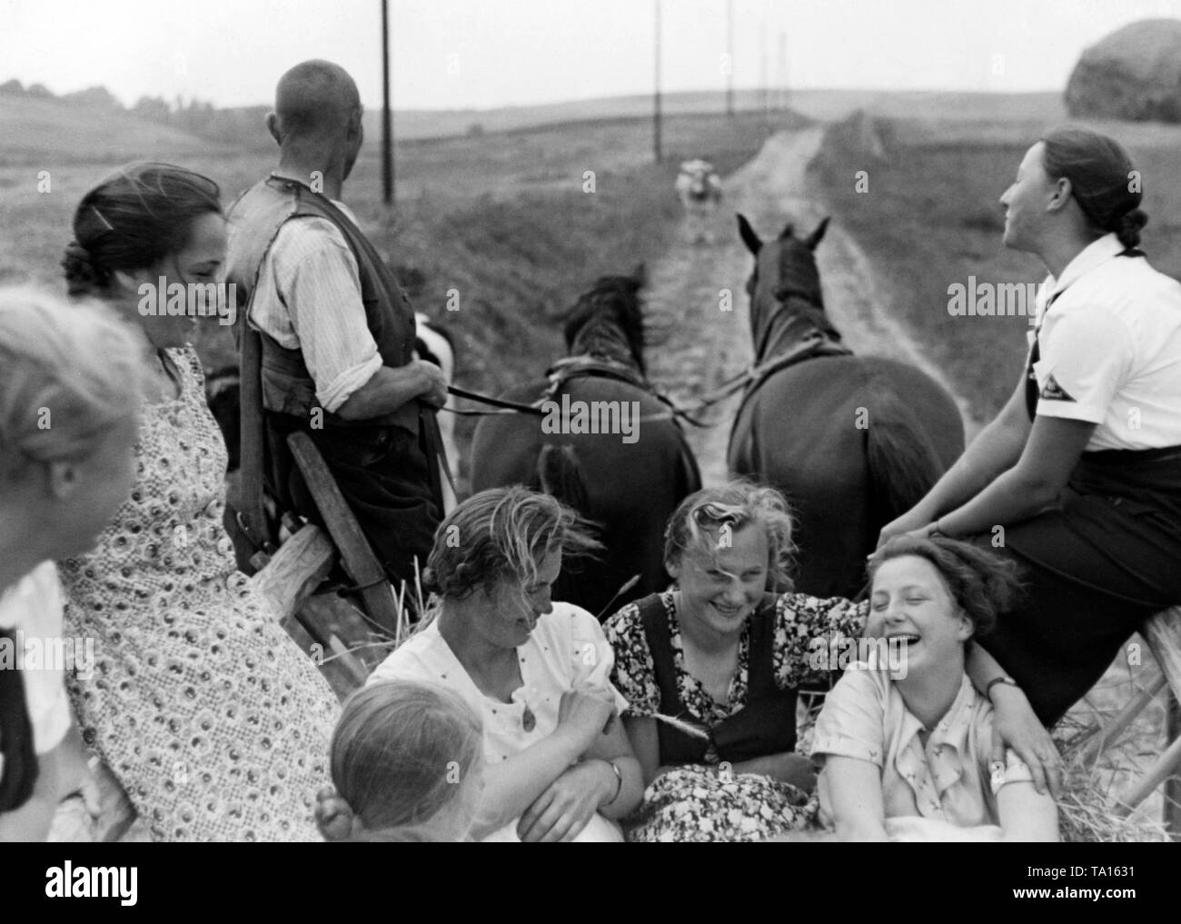 Mitglieder des BDM, die verbringen ihre Landdienst in Ostpreußen (heute Polen), mit einer Kutsche auf dem Erntefeld. Stockfoto