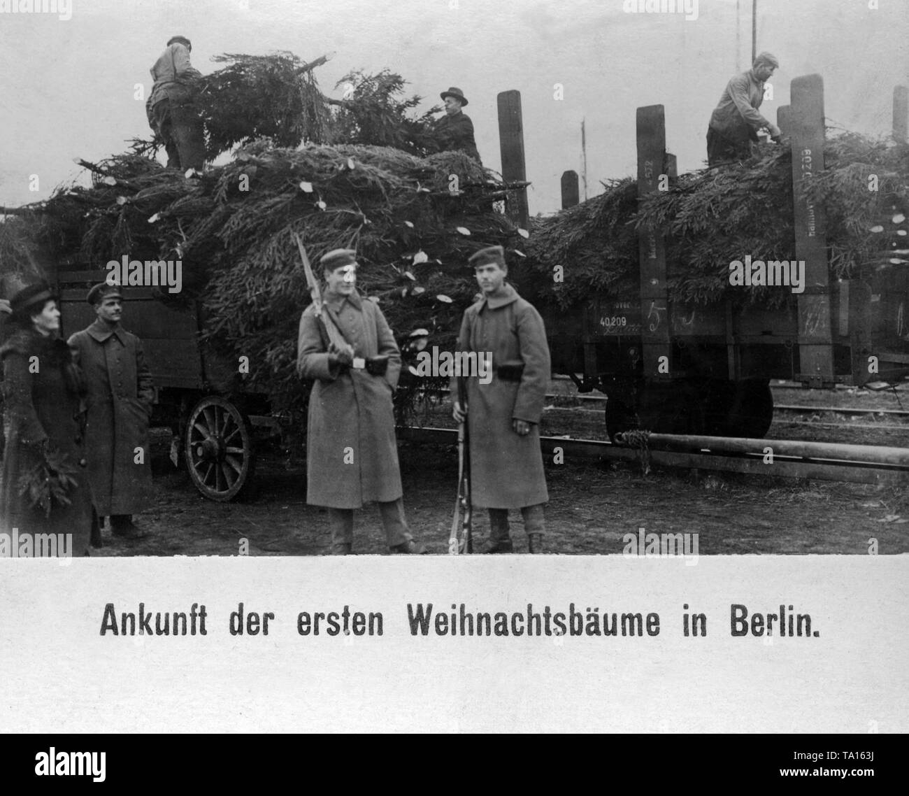 Von Soldaten bewacht, Weihnachtsbäume werden auf einen transport Auto am Berliner Bahnhof geladen. Stockfoto