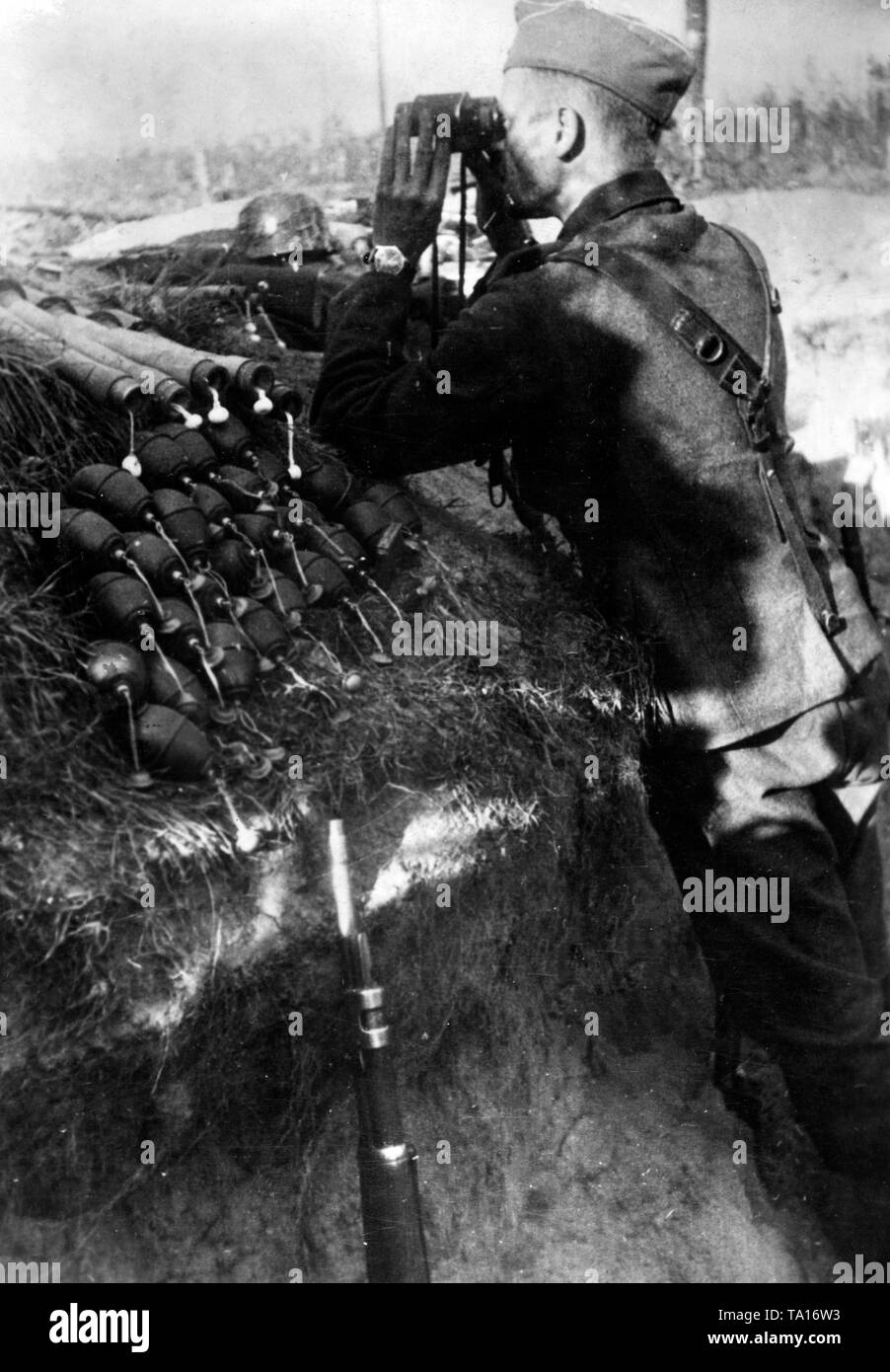 Ein deutscher Soldat beobachtet die umliegende Landschaft aus einem Graben in der Nähe von Leningrad. Neben ihm, zahlreiche Handgranaten und einem Gewehr Mauser (98). Foto der Propaganda Firma (PK): kriegsberichterstatter Ebert. Stockfoto