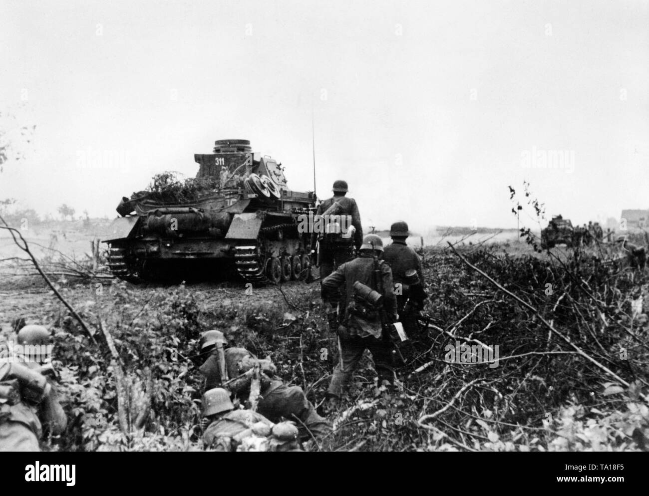 Ein Panzer IV und Infanterie der Wehrmacht sind langsam durch ein Minenfeld. 6. Panzerdivision, Division Army Group North in der Nähe von Leningrad. Stockfoto