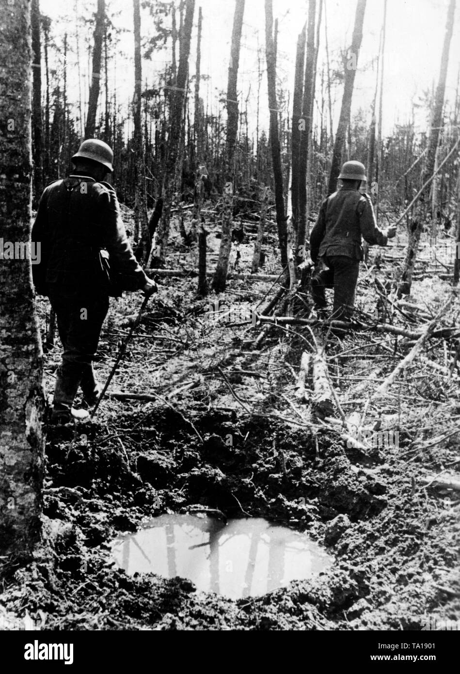 Zwei deutsche Soldaten stapfen durch den Sumpf Wälder auf dem volkhov Front im Nordabschnitt der Ostfront. Foto der Propaganda Firma (PK): kriegsberichterstatter Schmidt-Scheeder. Stockfoto