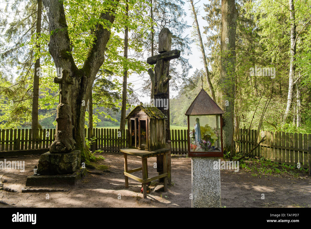 Kreuz und Holz- Kapellen im Wald in einem Ort namens "Heiligen Ort". Ort der Taufe des heidnischen Yotvingians. Das Rospuda-tal, Polen Stockfoto