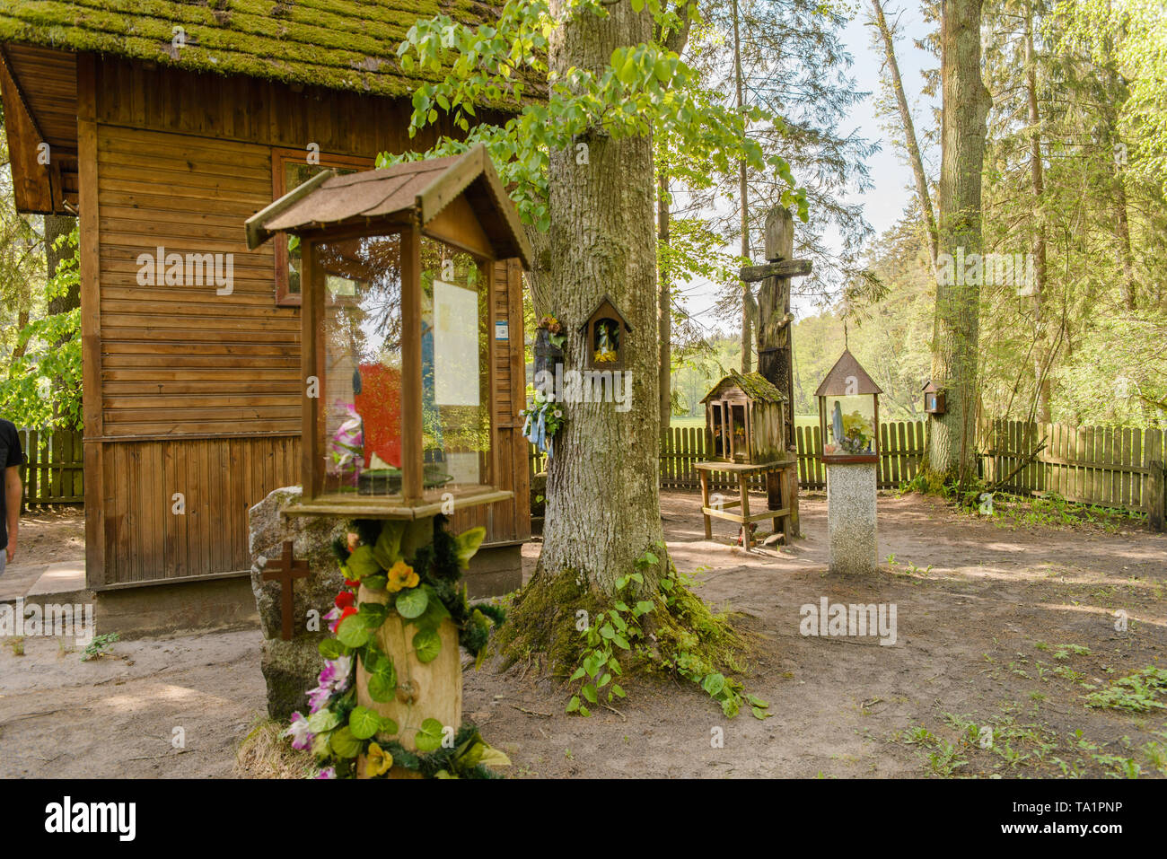 Kreuz und Holz- Kapellen im Wald in einem Ort namens "Heiligen Ort". Ort der Taufe des heidnischen Yotvingians. Das Rospuda-tal, Polen Stockfoto