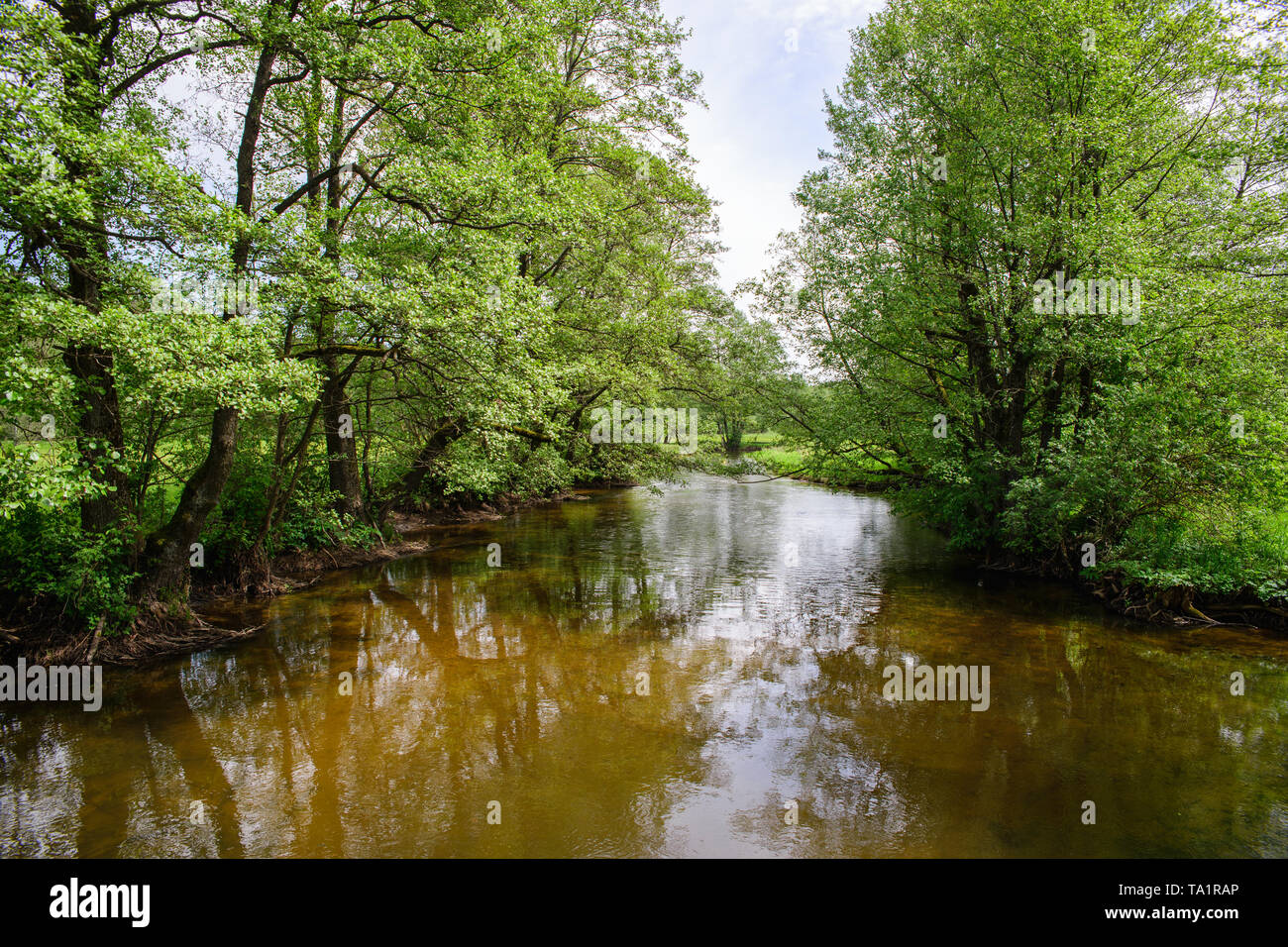 Blick auf einem sauberen Fluss unter Bäumen, ein Ort zum Entspannen, aktiver Erholung an der frischen, sauberen Luft, Kajak Stockfoto