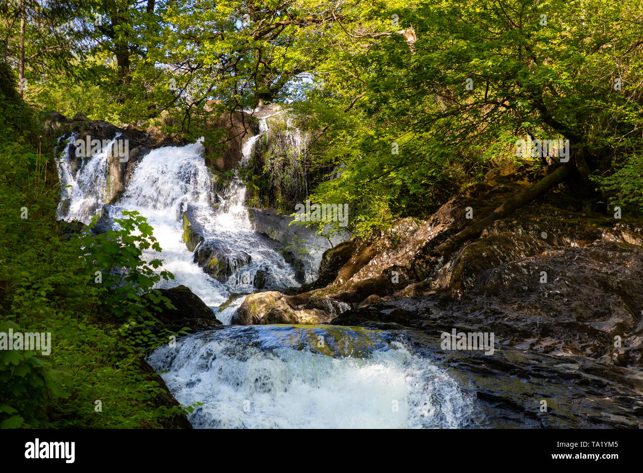 Swallow Falls Betws y Coed Conwy Wales Mai 14, 2019 Am Fluss Llugwy, als sie fällt über Swallow Falls Stockfoto
