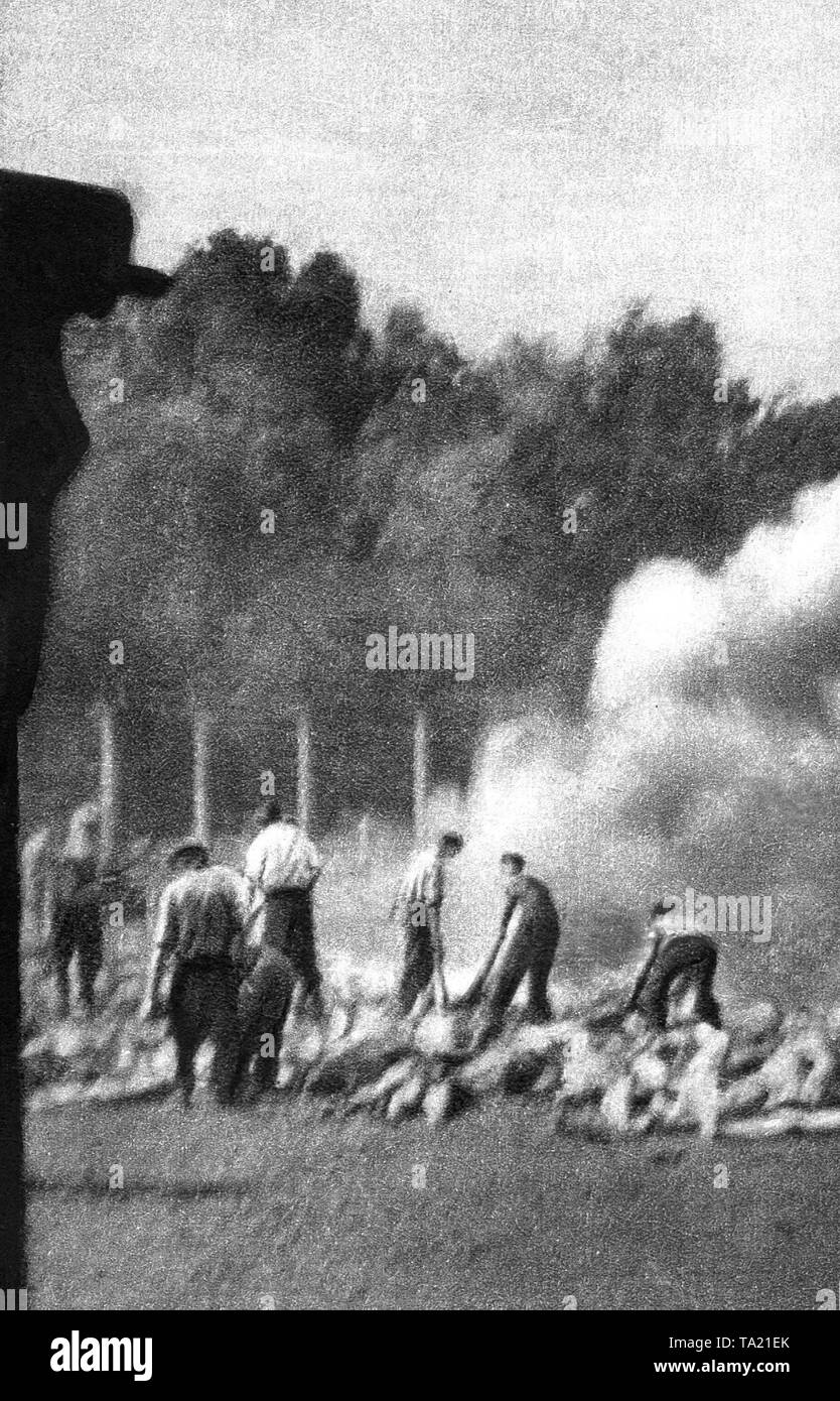 Häftlinge des KZ Auschwitz-Birkenau bei brennenden Leichen nach der Vergasung. Stockfoto