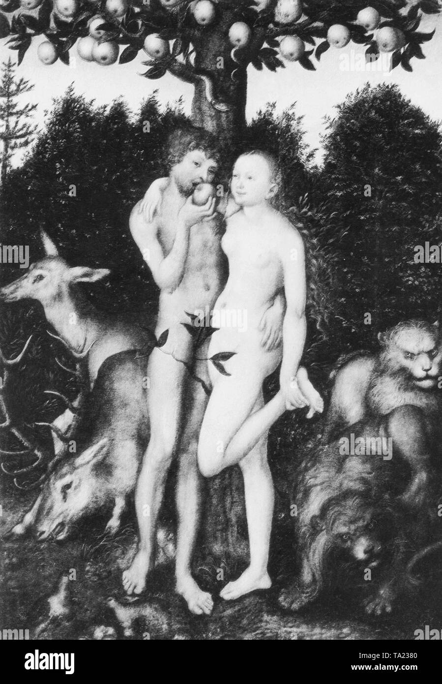 Der Fall von Adam und Eva im Paradies. Nach einem Gemälde von Lucas Cranach aus dem Jahr 1531. Stockfoto